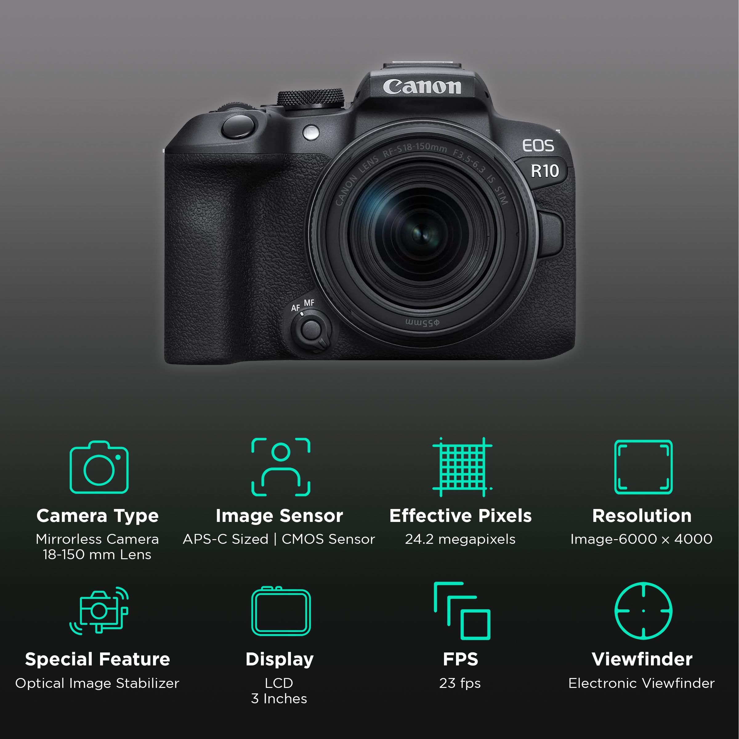 Canon EOS R10 24.2MP Mirrorless Camera (18-150 mm Lens, 22.3 x 14.9 mm Sensor, Vari-Angle Touch Screen LCD)_2
