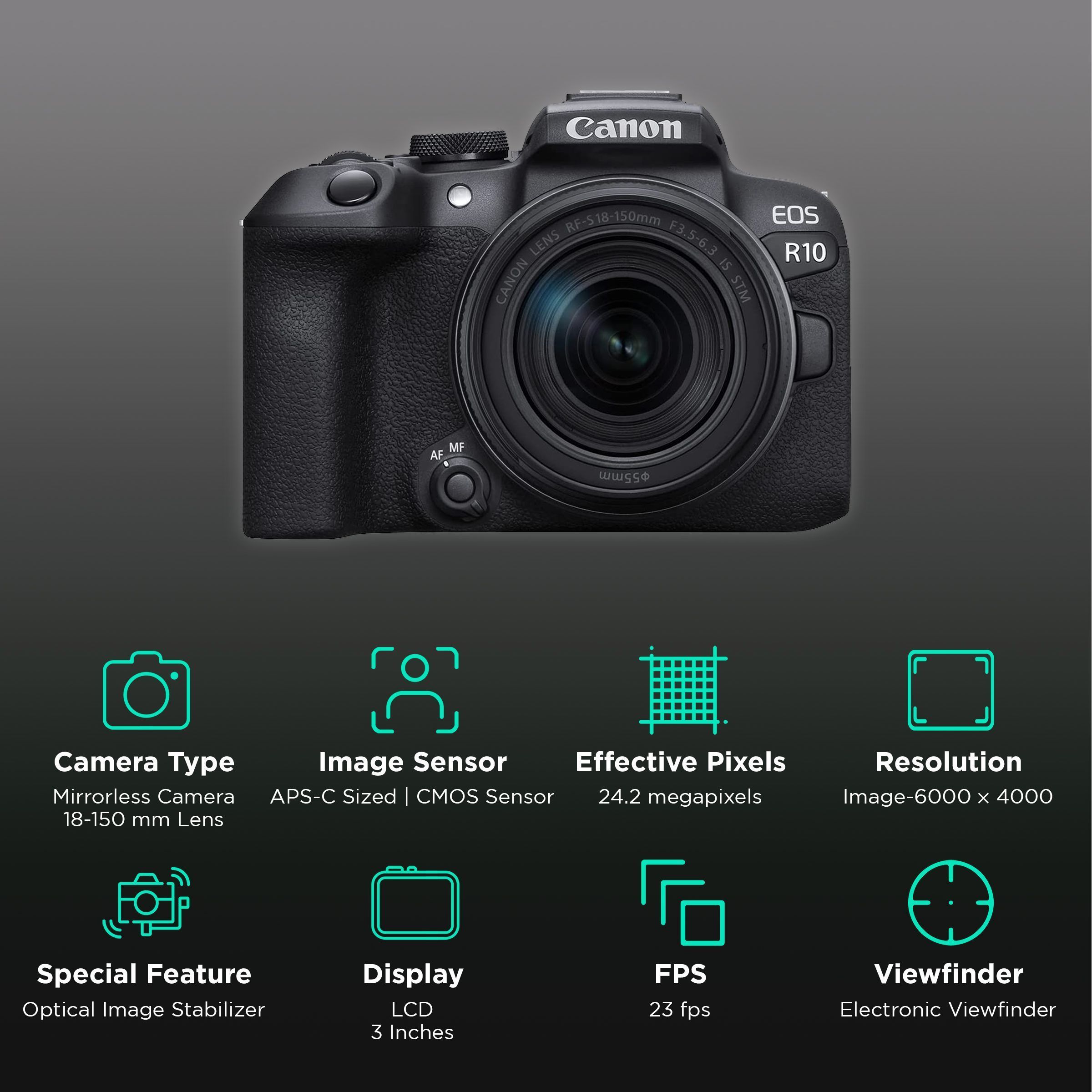 Canon EOS R10 24.2MP Mirrorless Camera (18-150 mm Lens, 22.3 x 14.9 mm Sensor, Vari-Angle Touch Screen LCD)_2