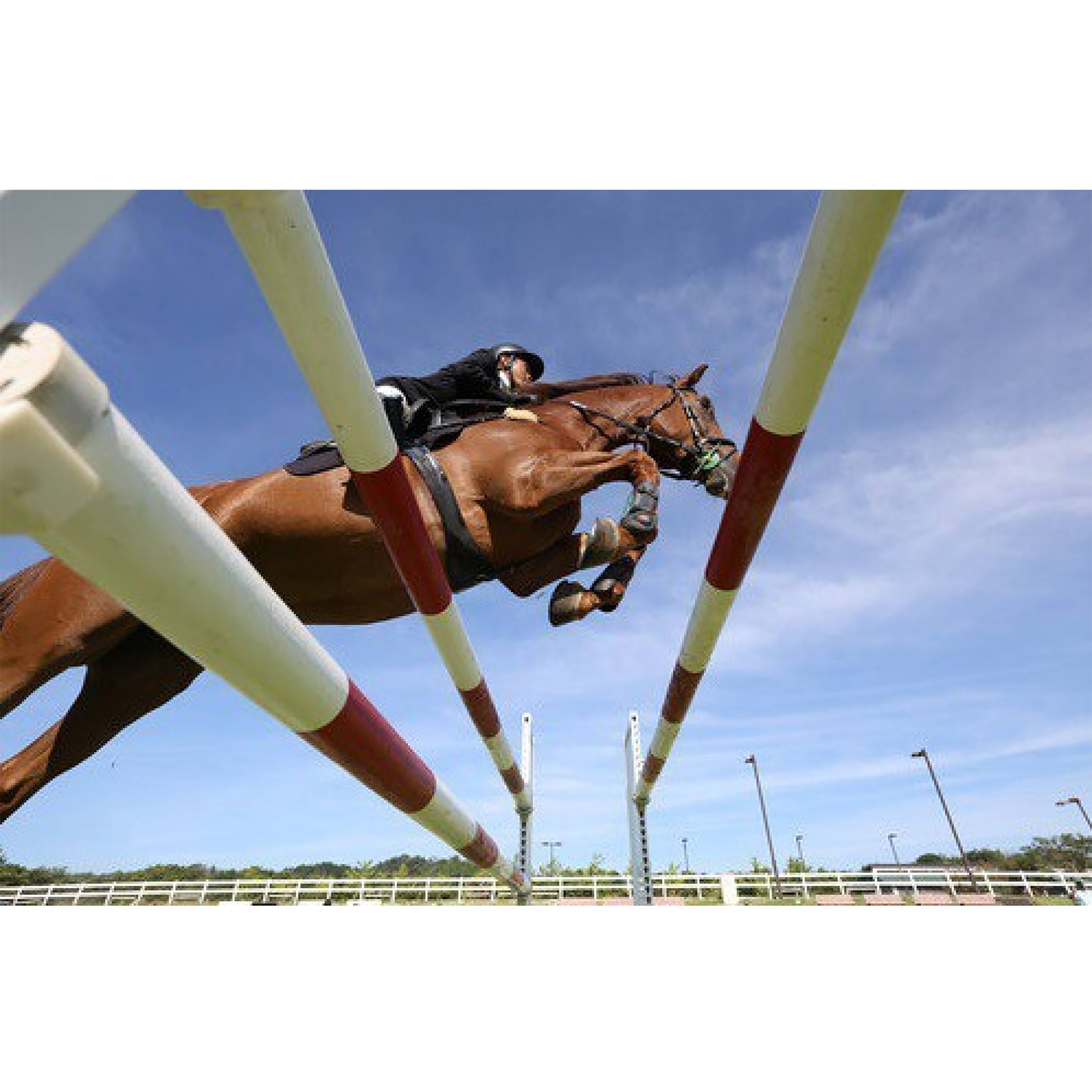 Canon EOS R6 Mark II 24.2MP DSLR Camera (24-105 mm Lens, CMOS Sensor, DIGIC X Processor)_11