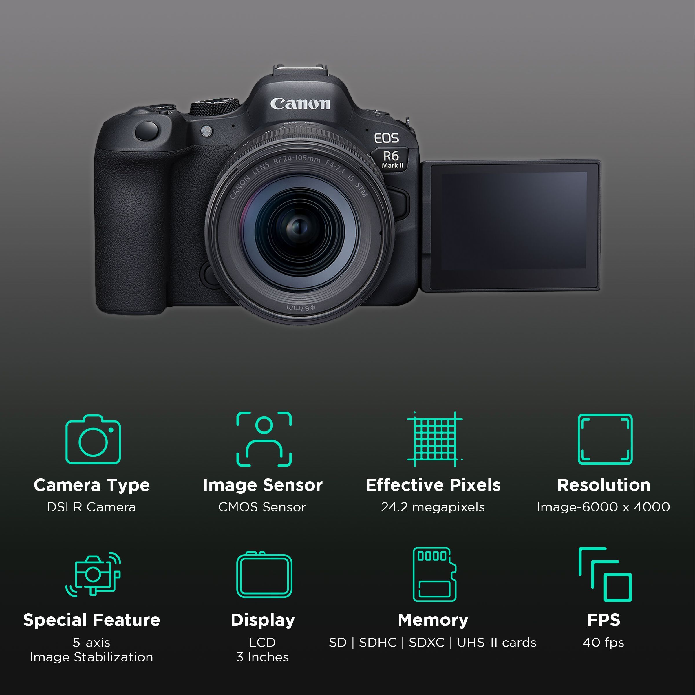 Canon EOS R6 Mark II 24.2MP DSLR Camera (24-105 mm Lens, CMOS Sensor, DIGIC X Processor)_2