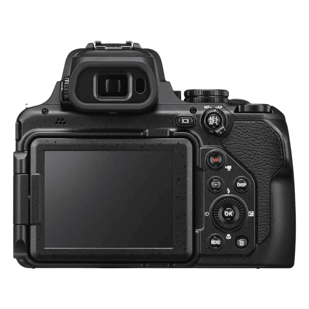 Nikon COOLPIX P1100 16MP DSLR Camera (24-3000 mm Lens, 6.2 x 4.6 mm Sensor, Vari-angle LCD)_8