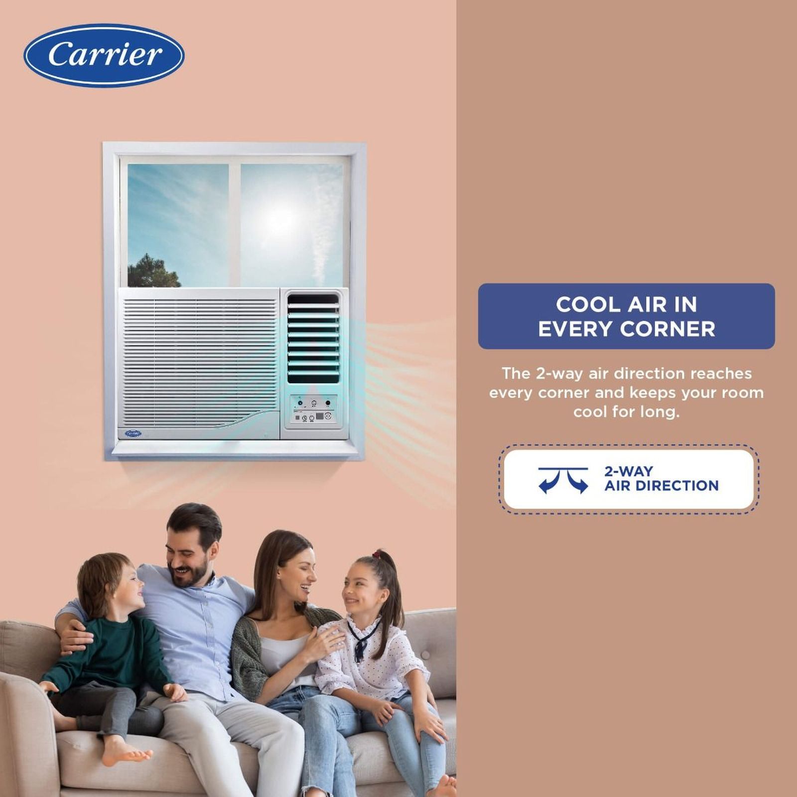 Carrier Estrella Ex 1 Ton 3 Star Fixed Speed Window AC (Copper Condenser, Dust Filter, CAW12EC3R34F0) Carrier Estrella Ex 1 Ton 3 Star Fixed Speed Window AC (Copper Condenser, Dust Filter, CAW12EC3R34F0)_14