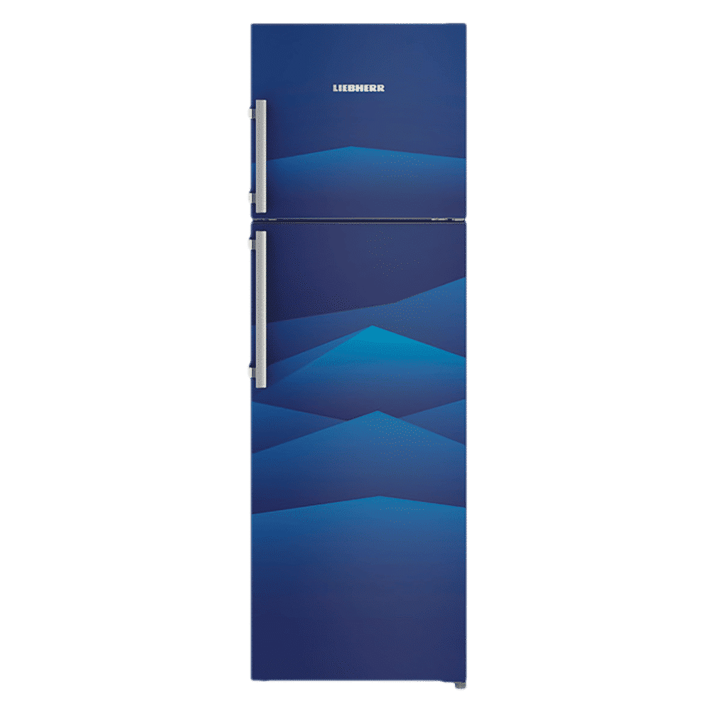 LIEBHERR 346 Litres 4 Star Frost Free Double Door Refrigerator with Central Power Cooling (TCb 3520, Blue Landscape)_1