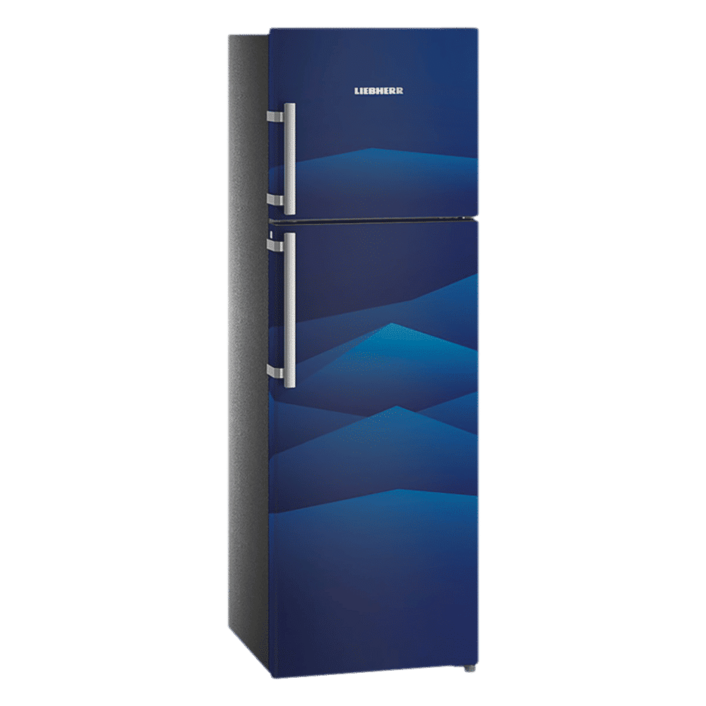 LIEBHERR 346 Litres 4 Star Frost Free Double Door Refrigerator with Central Power Cooling (TCb 3520, Blue Landscape)_5