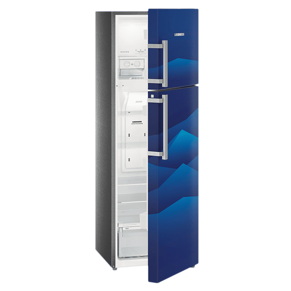 LIEBHERR 346 Litres 4 Star Frost Free Double Door Refrigerator with Central Power Cooling (TCb 3520, Blue Landscape)_6