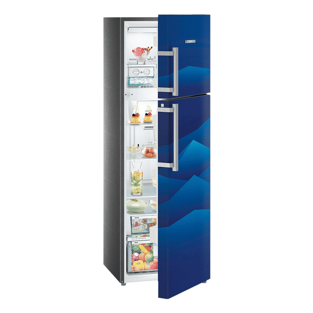 LIEBHERR 346 Litres 3 Star Frost Free Double Door Refrigerator with Forced Air Cooling (TCB 3540, Blue Landscape)_9