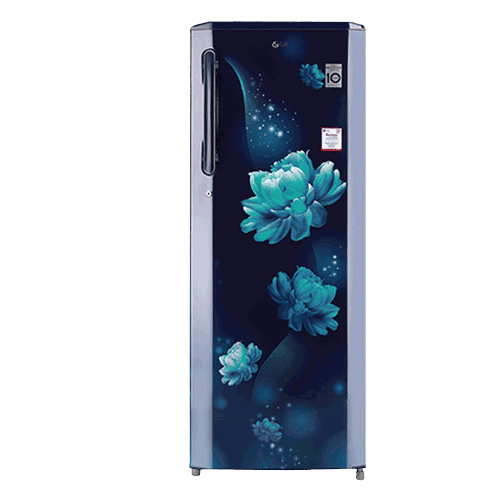 LG 261 Litres 3 Star Direct Cool Single Door Refrigerator with Stabilizer Free Operation (GL-B281BBCX.DBCZEB, Blue Charm)_13