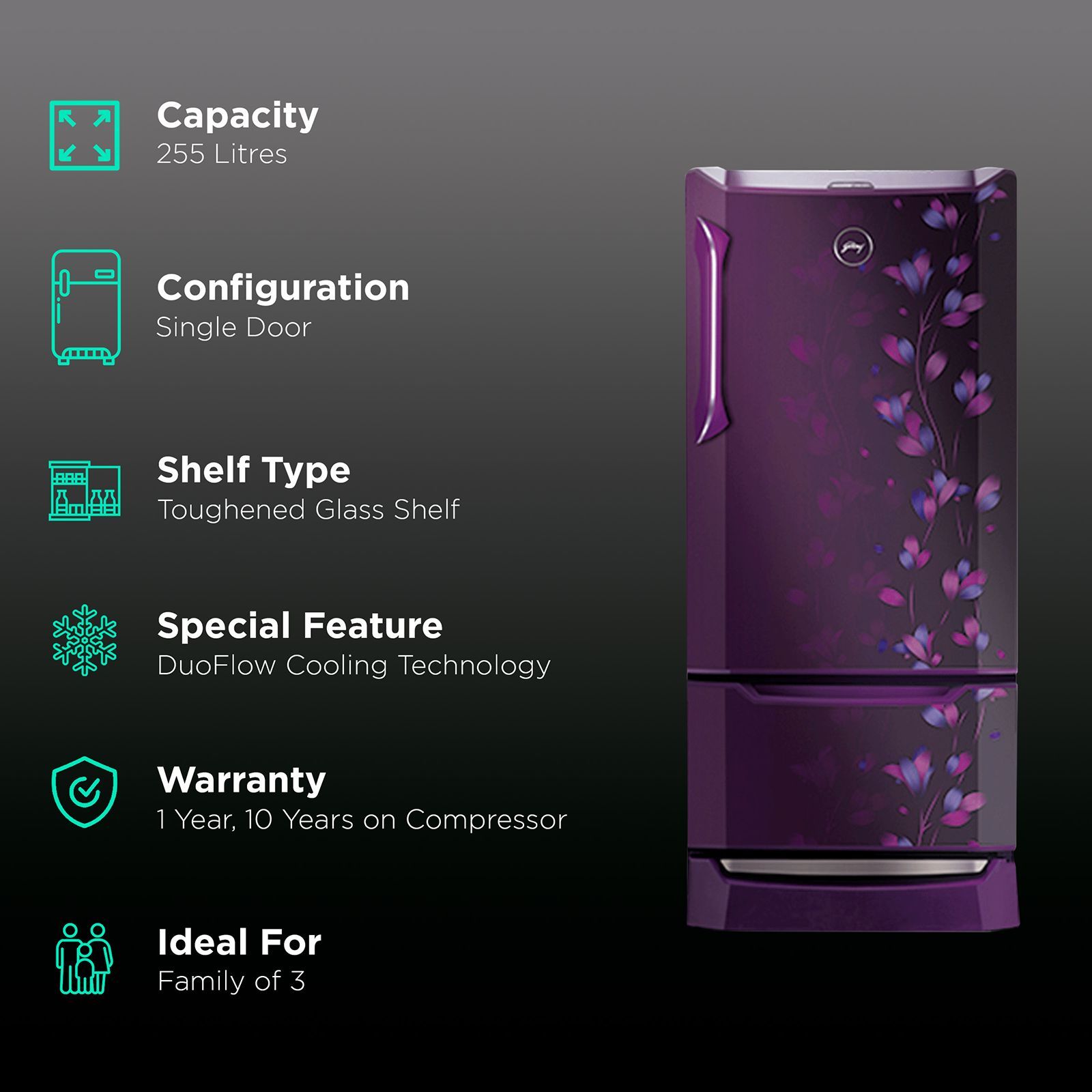 Godrej Edge Duo 255 Litres 3 Star Direct Cool Single Door Refrigerator with Duo Flow Technology (RD EDGE DUO 270C 33 TDI, Jade Purple) Godrej Edge Duo 255 Litres 3 Star Direct Cool Single Door Refrigerator with Duo Flow Technology (RD EDGE DUO 270C 33 TDI, Jade Purple)_2