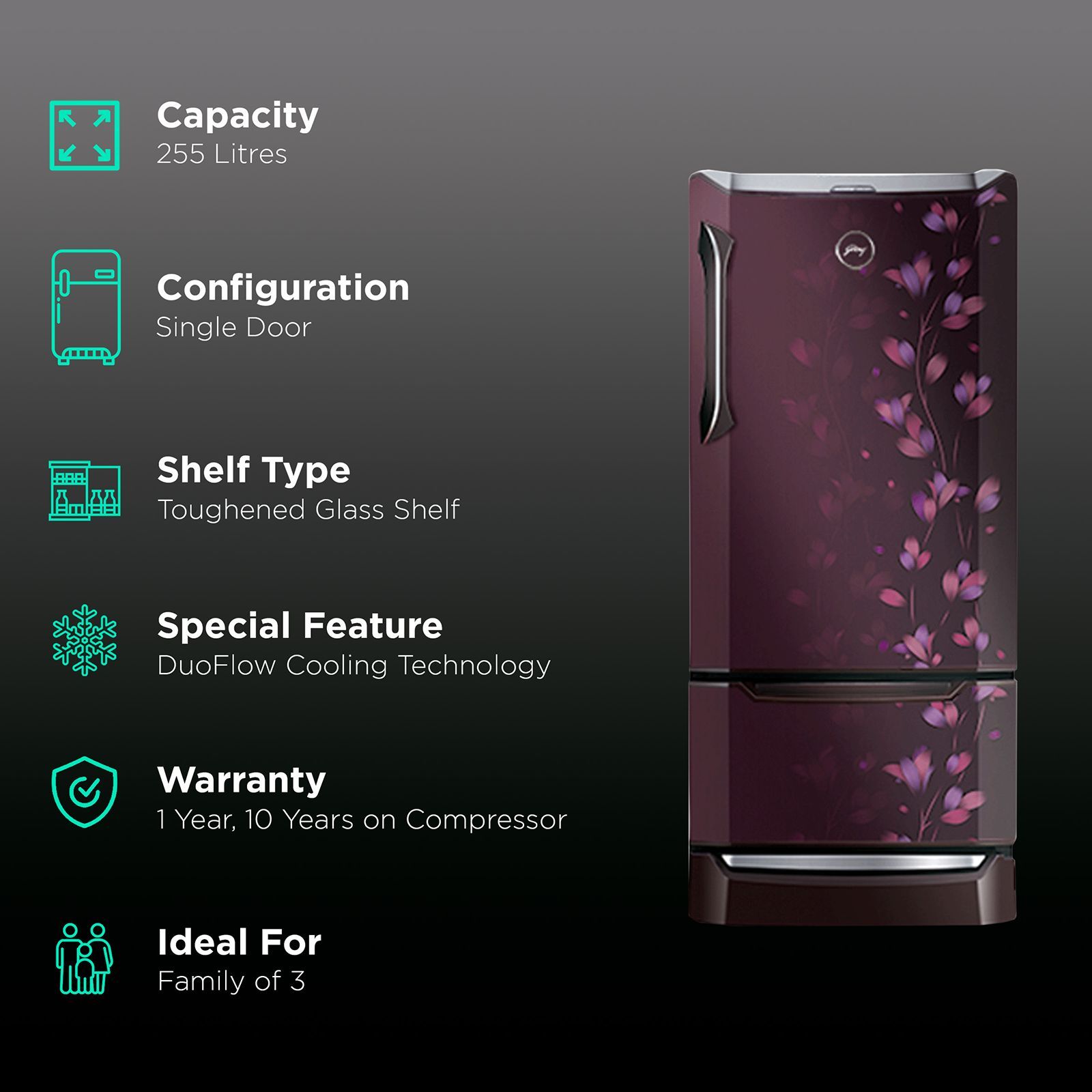 Godrej Edge Duo 255 Litres 3 Star Direct Cool Single Door Refrigerator with Duo Flow Technology (RD EDGE DUO 270C 33 TDI, Jade Wine)_2