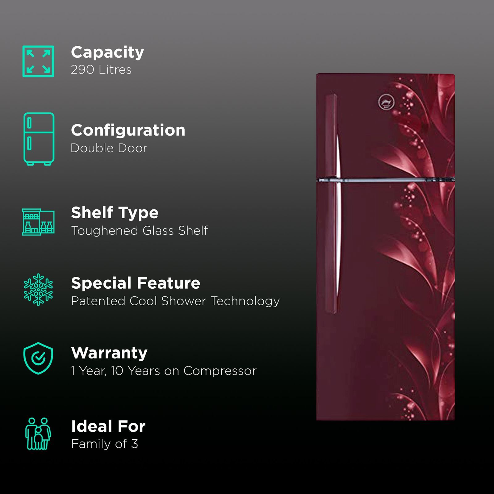 Godrej Eon Vibe 290 Litres 2 Star Frost Free Double Door Convertible Refrigerator with Cool Shower Technology (RT EON VIBE 306B 25 HCF, Silky Wine)_2