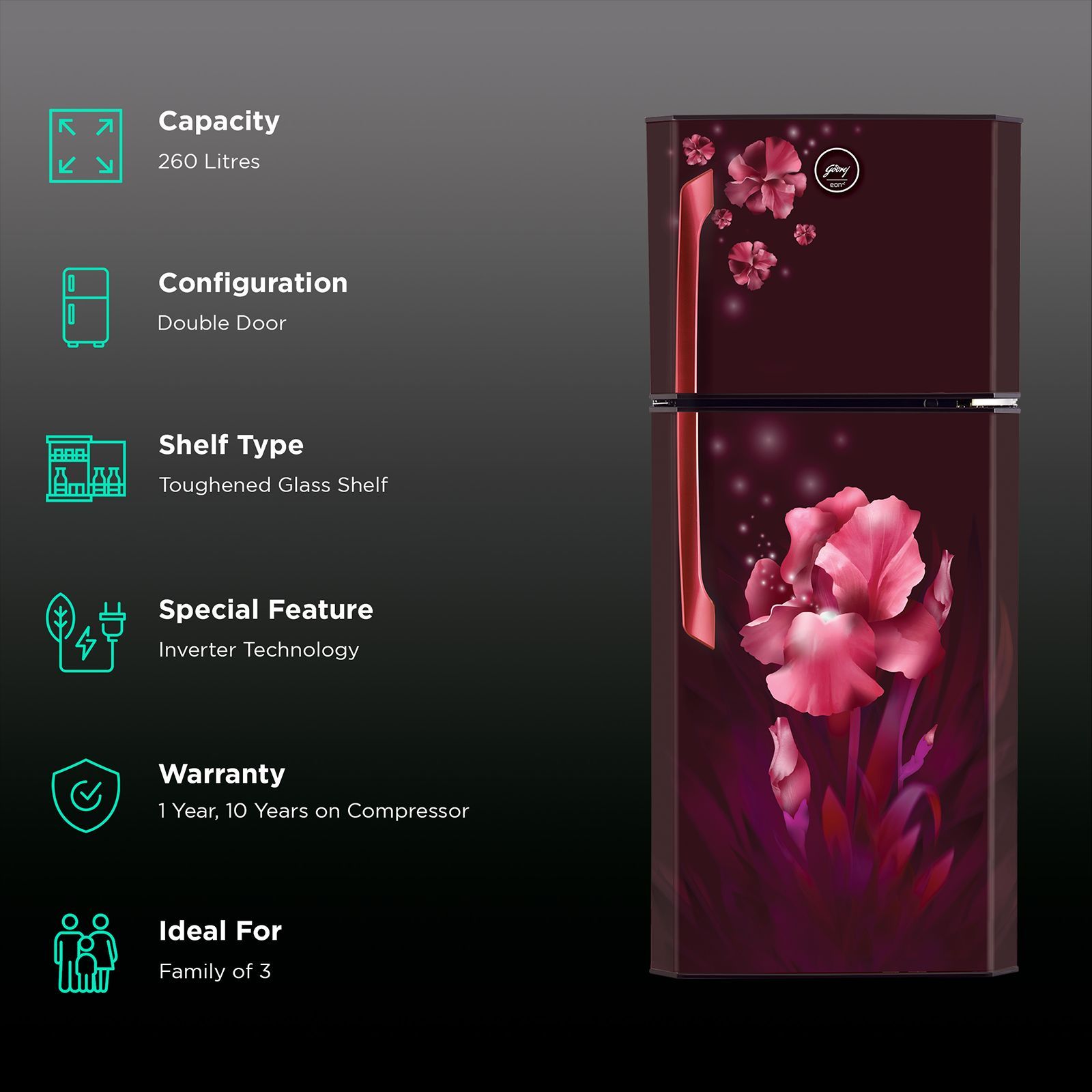 Godrej Eon 260 Litres 2 Star Frost Free Double Door Refrigerator with Anti-Bacterial Gasket (RT EON 275B 25 HI, Aqua Wine) Godrej Eon 260 Litres 2 Star Frost Free Double Door Refrigerator with Anti-Bacterial Gasket (RT EON 275B 25 HI, Aqua Wine)_2