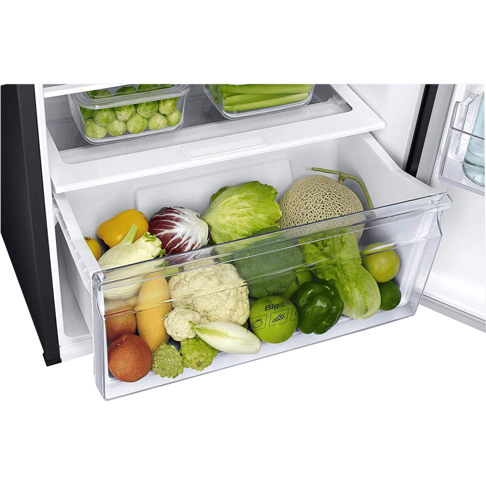 SAMSUNG 394 Litres 2 Star Frost Free Double Door Convertible Refrigerator with Anti-Bacteria Protector (RT39T50382C/TL, Black Glass) SAMSUNG 394 Litres 2 Star Frost Free Double Door Convertible Refrigerator with Anti-Bacteria Protector (RT39T50382C/TL, Black Glass)_11