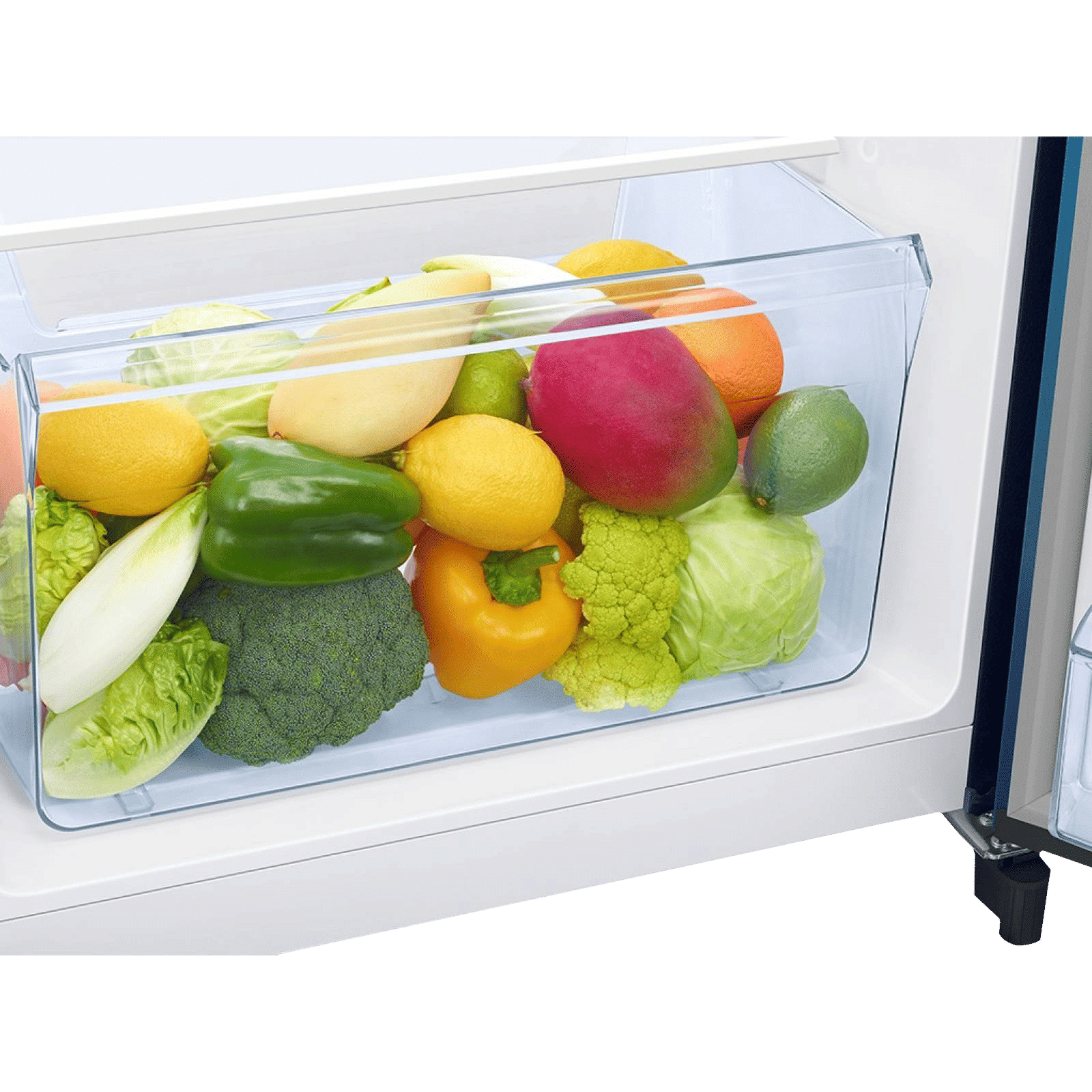 SAMSUNG Digi-Touch Cool 198 Litres 4 Star Direct Cool Single Door Refrigerator with Base Stand Drawer (RR21A2E2X9U/HL, Paradise Bloom Blue)_12