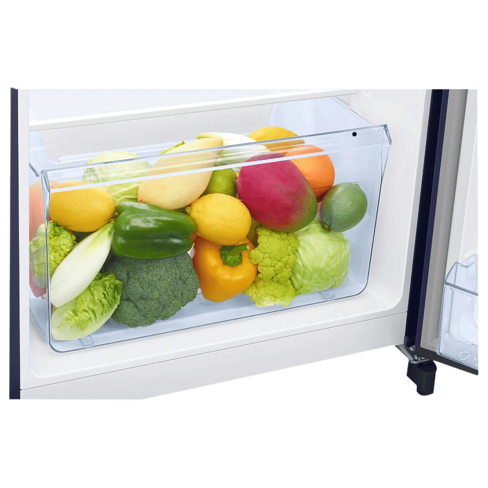 SAMSUNG Digi-Touch Cool 198 Litres 3 Star Direct Cool Single Door Refrigerator with Base Stand Drawer (RR21A2F2YTU/HL, Delight Indigo) SAMSUNG Digi-Touch Cool 198 Litres 3 Star Direct Cool Single Door Refrigerator with Base Stand Drawer (RR21A2F2YTU/HL, Delight Indigo)_9