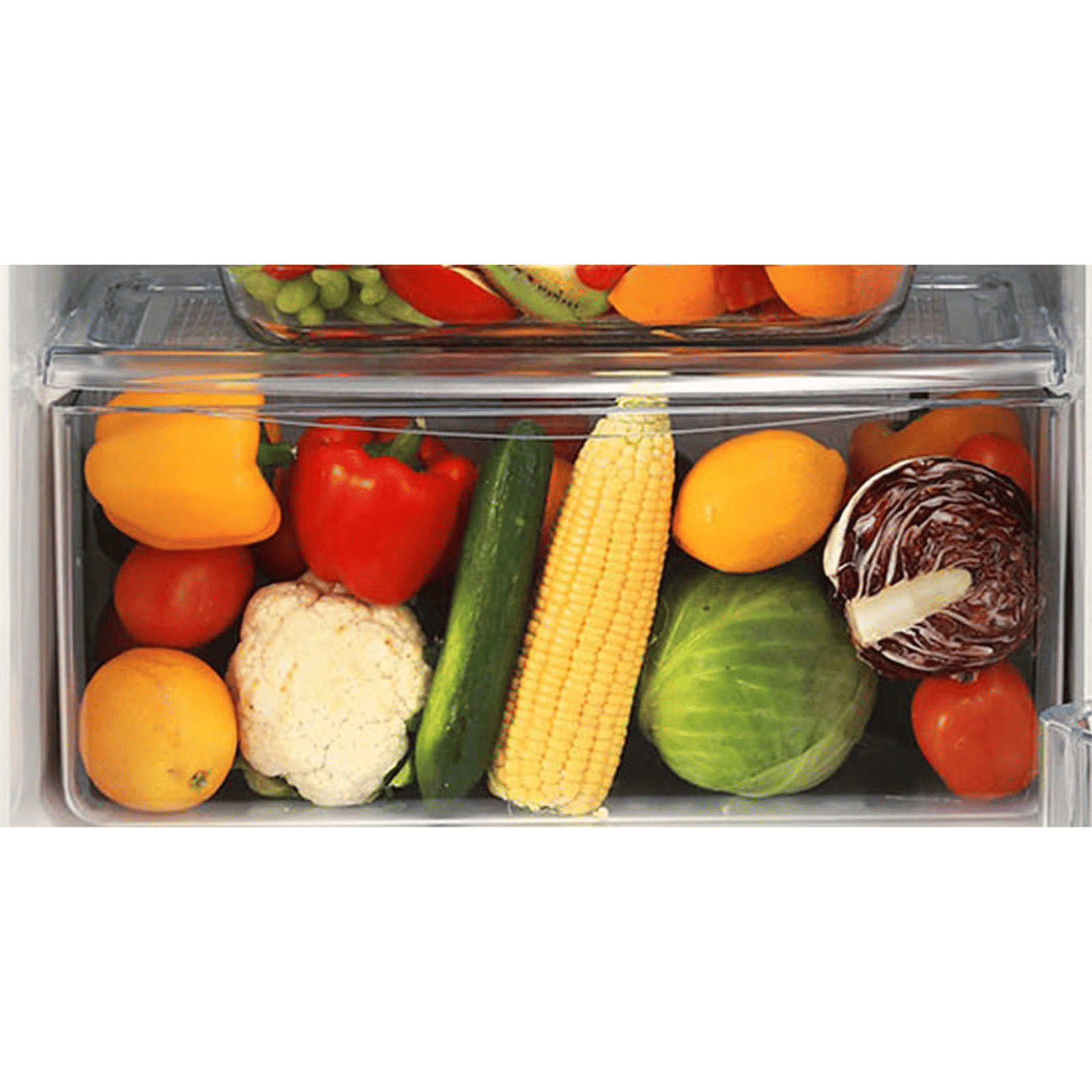 LG 190 Litres 3 Star Direct Cool Single Door Refrigerator with Stabilizer Free Operation (GL-B201ABCD.ABCZEB, Blue Charm)_9