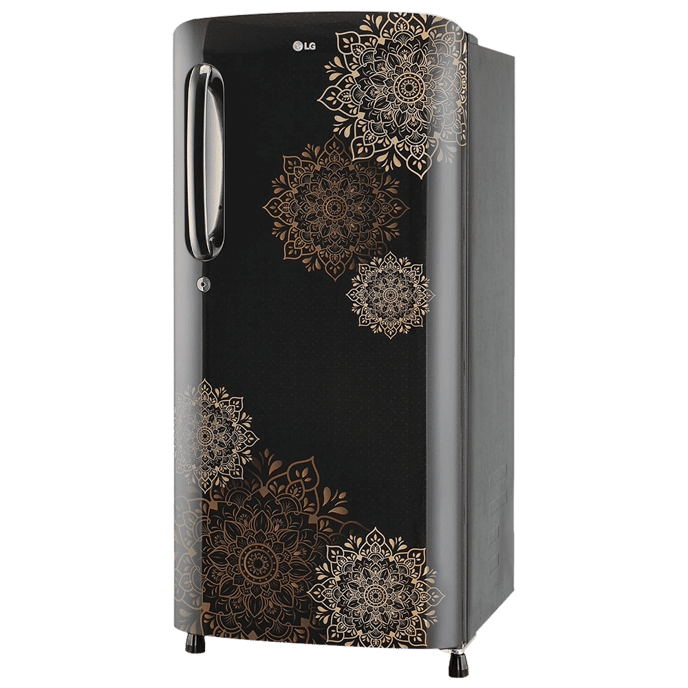 LG 190 Litres 3 Star Direct Cool Single Door Refrigerator with Multi Air Flow System (GL-B201AERD.BERZEB, Ebony Regal)_9