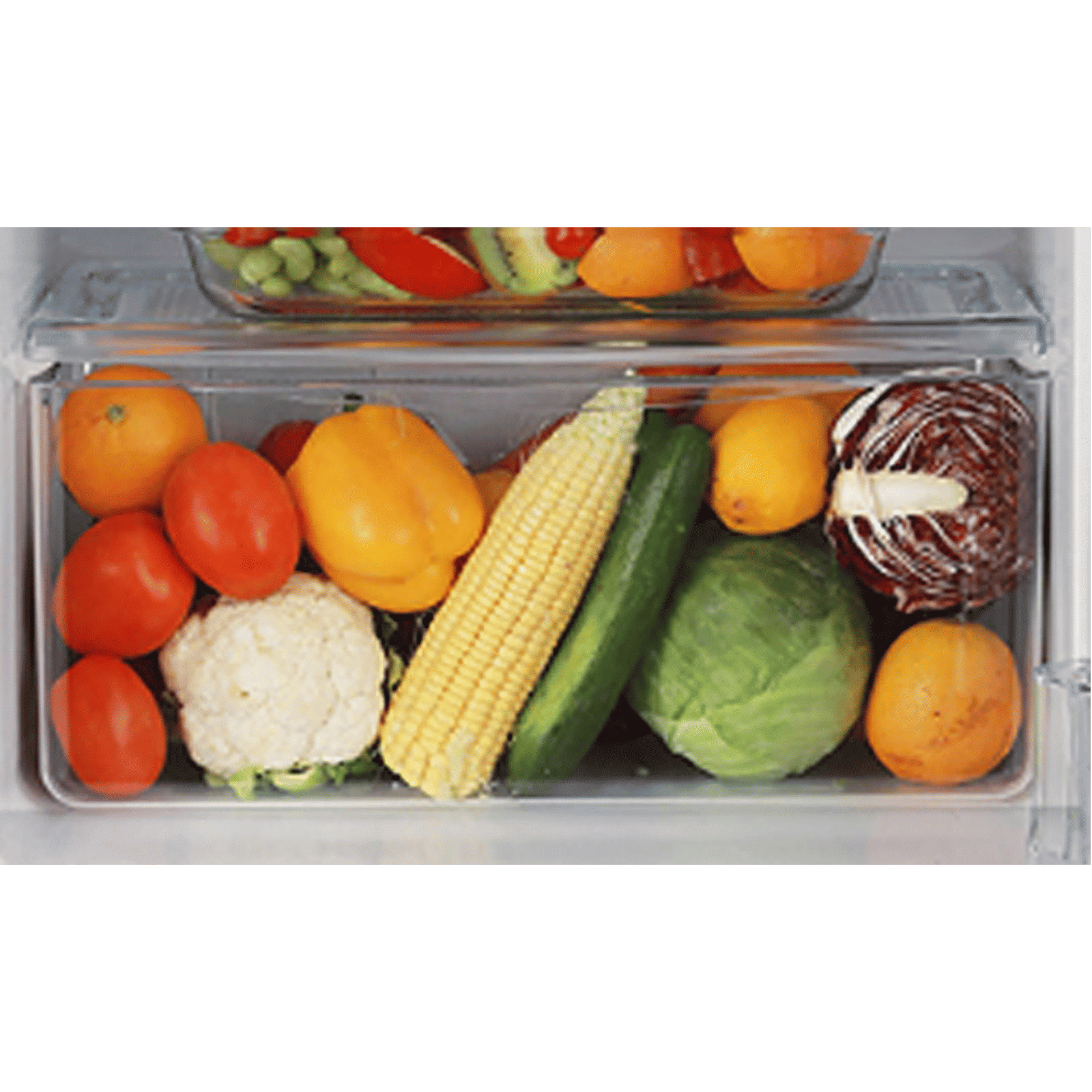 LG 190 Litres 3 Star Direct Cool Single Door Refrigerator with Stabilizer Free Operation (GL-B201ASPD.ASPZEB, Scarlet Plumeria)_9