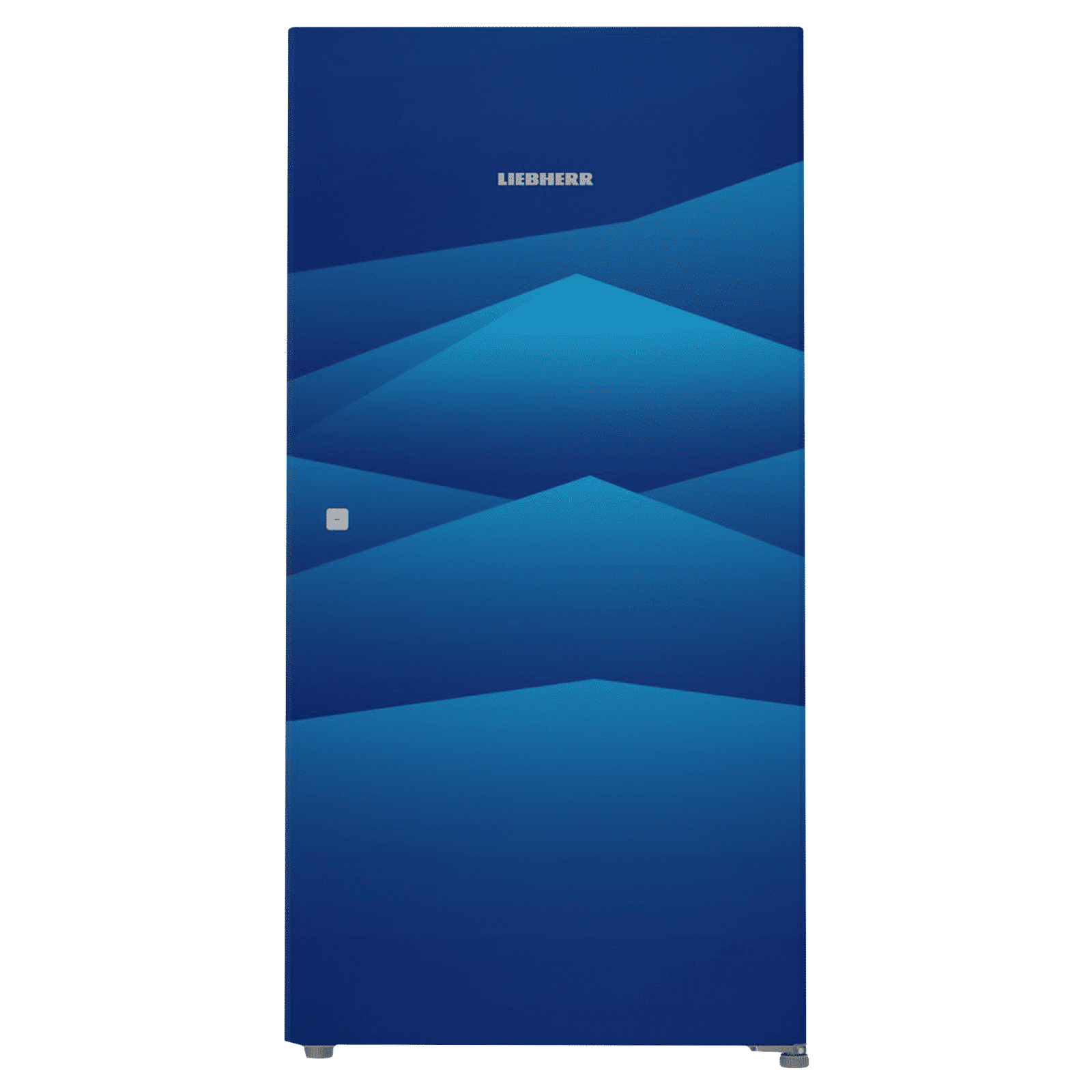 LIEBHERR 220 Litres 4 Star Direct Cool Single Door Refrigerator with Stabilizer Free Operation (DBL 2240, Blue Landscape)_1