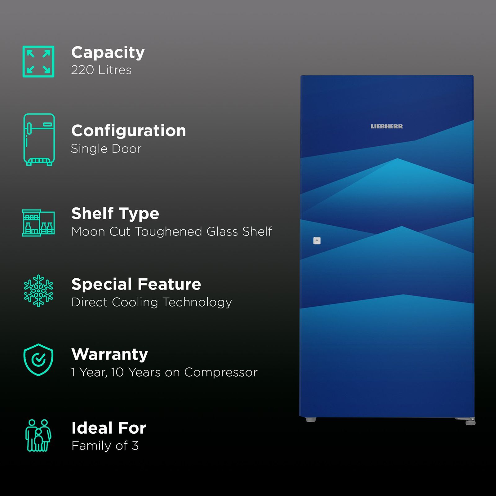LIEBHERR 220 Litres 4 Star Direct Cool Single Door Refrigerator with Stabilizer Free Operation (DBL 2240, Blue Landscape)_2