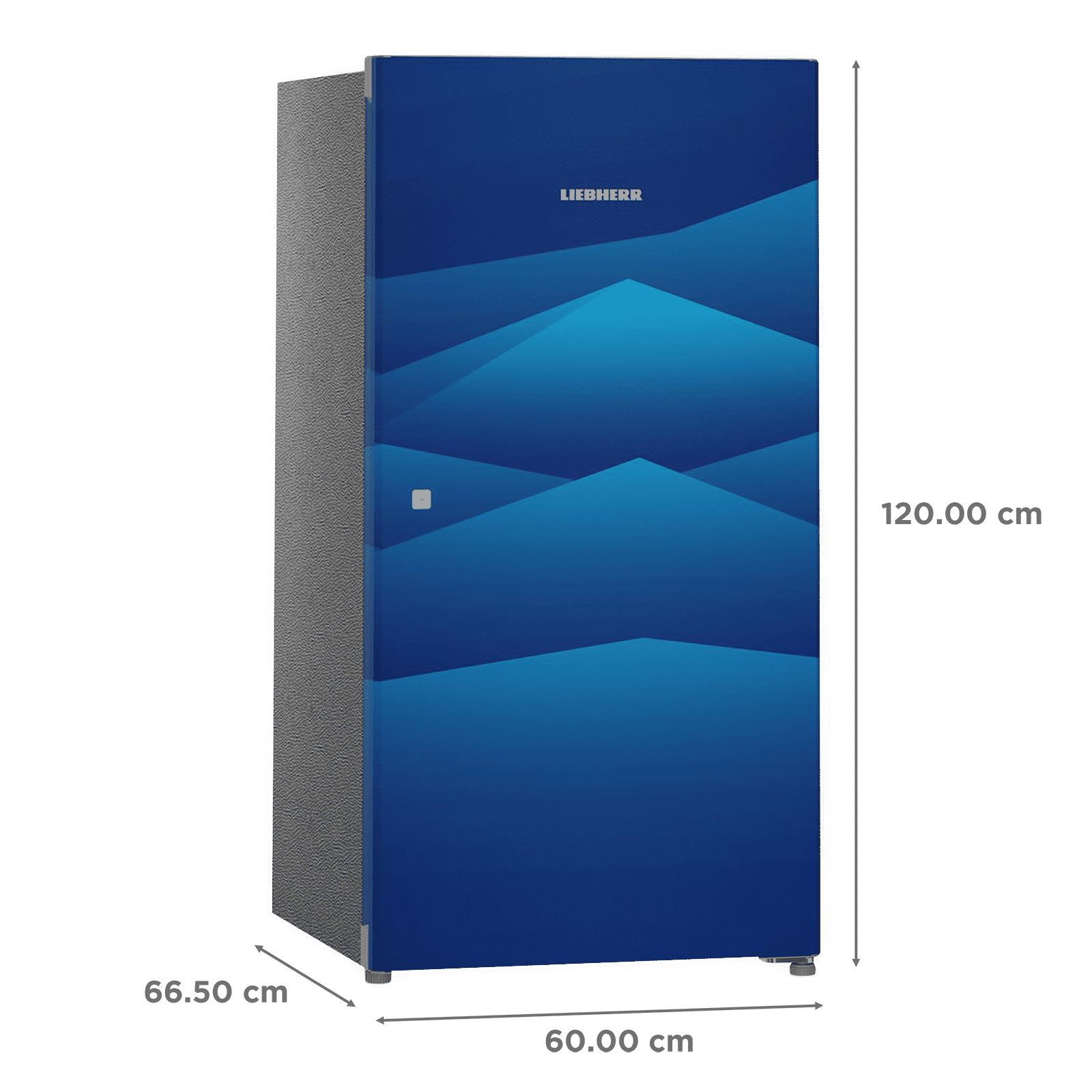 LIEBHERR 220 Litres 4 Star Direct Cool Single Door Refrigerator with Stabilizer Free Operation (DBL 2240, Blue Landscape)_3