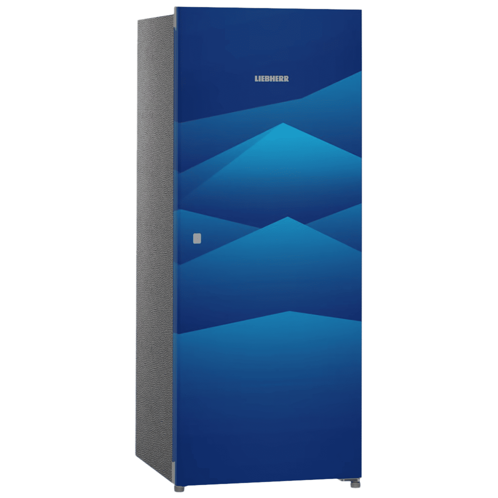 LIEBHERR 220 Litres 4 Star Direct Cool Single Door Refrigerator with Stabilizer Free Operation (DBL 2240, Blue Landscape)_4