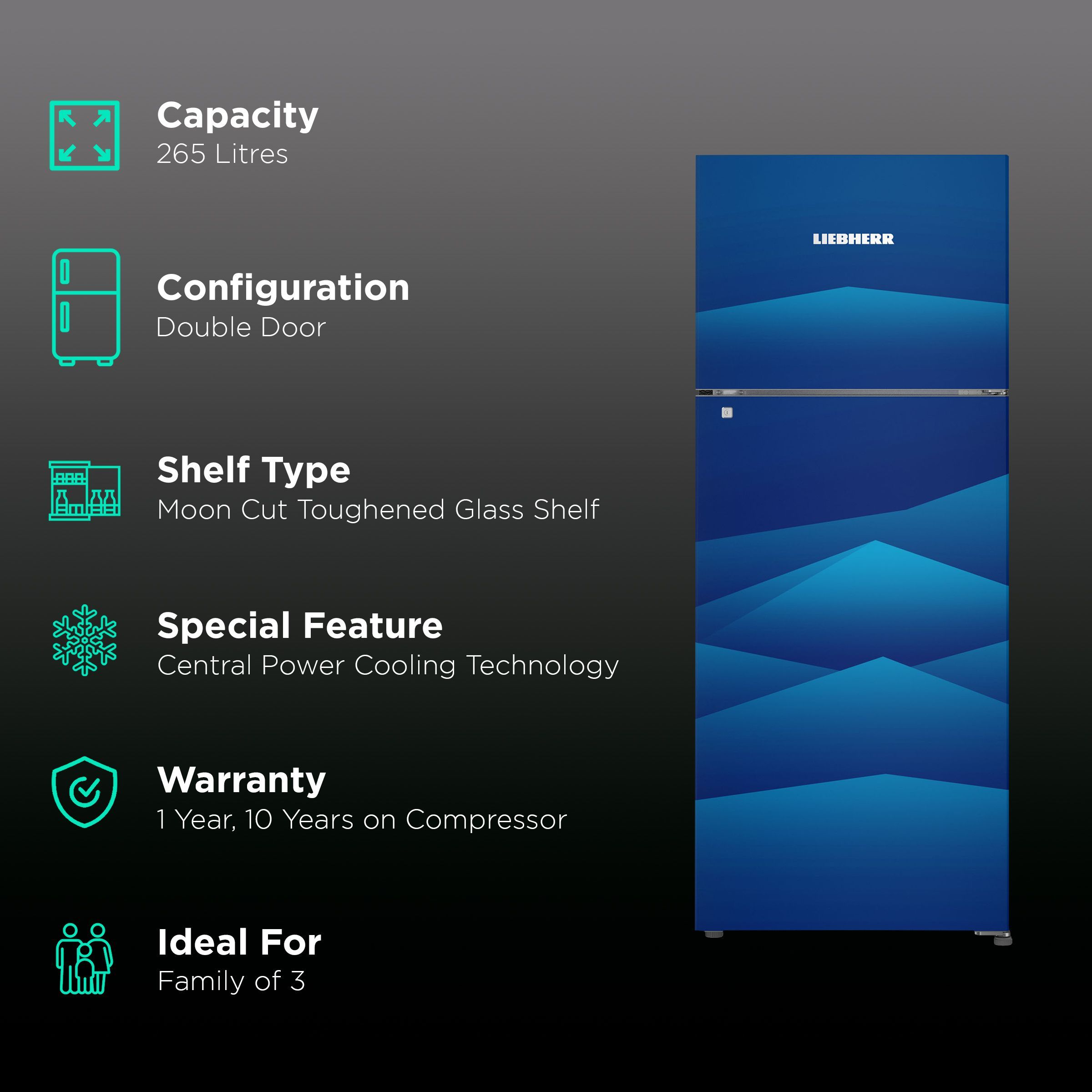 LIEBHERR 265 Litres 3 Star Frost Free Double Door Refrigerator with Forced Air Cooling (TCBL 2620, Blue Landscape)_2