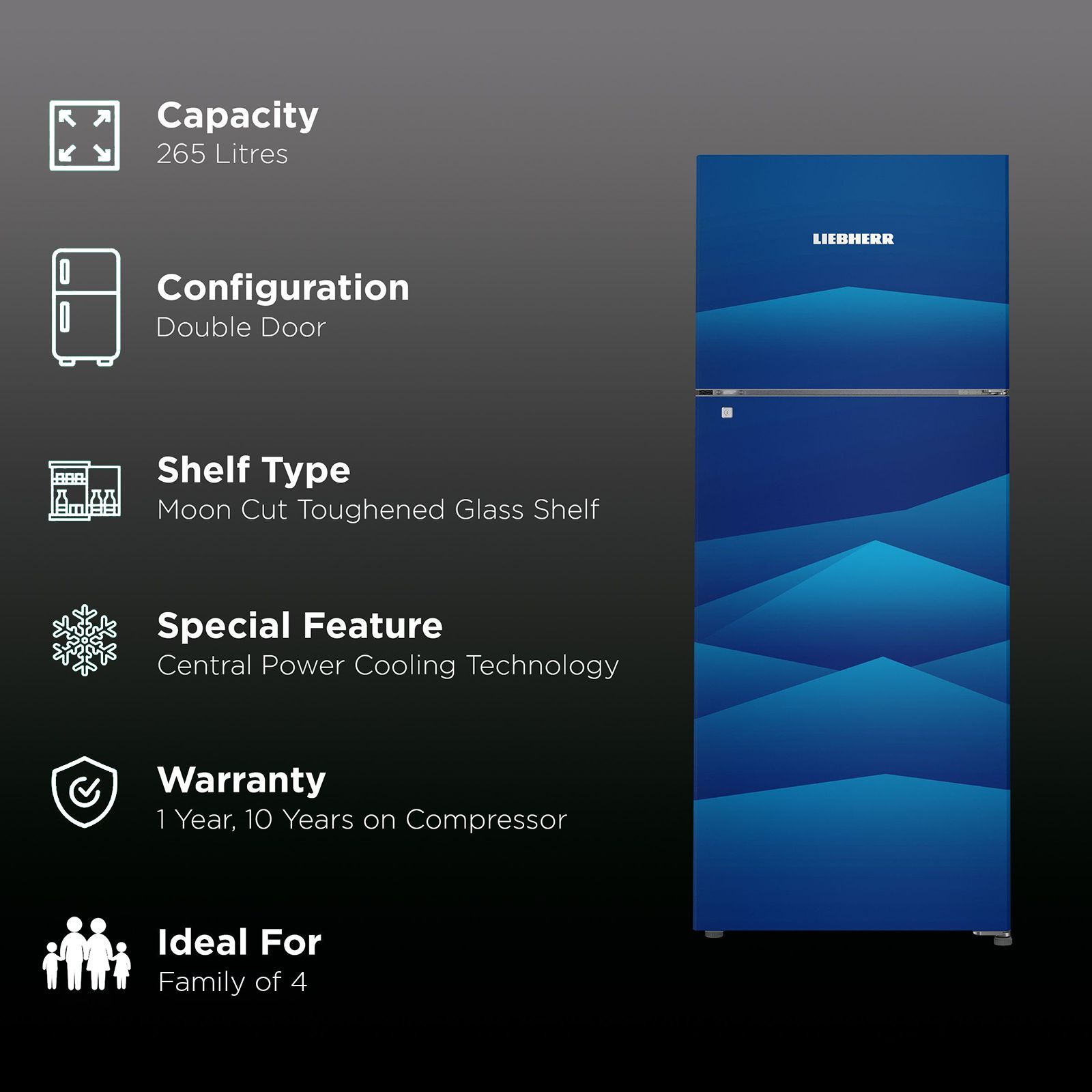 LIEBHERR 265 Litres 3 Star Frost Free Double Door Refrigerator with Forced Air Cooling (TCBL 2640, Blue Landscape)_2