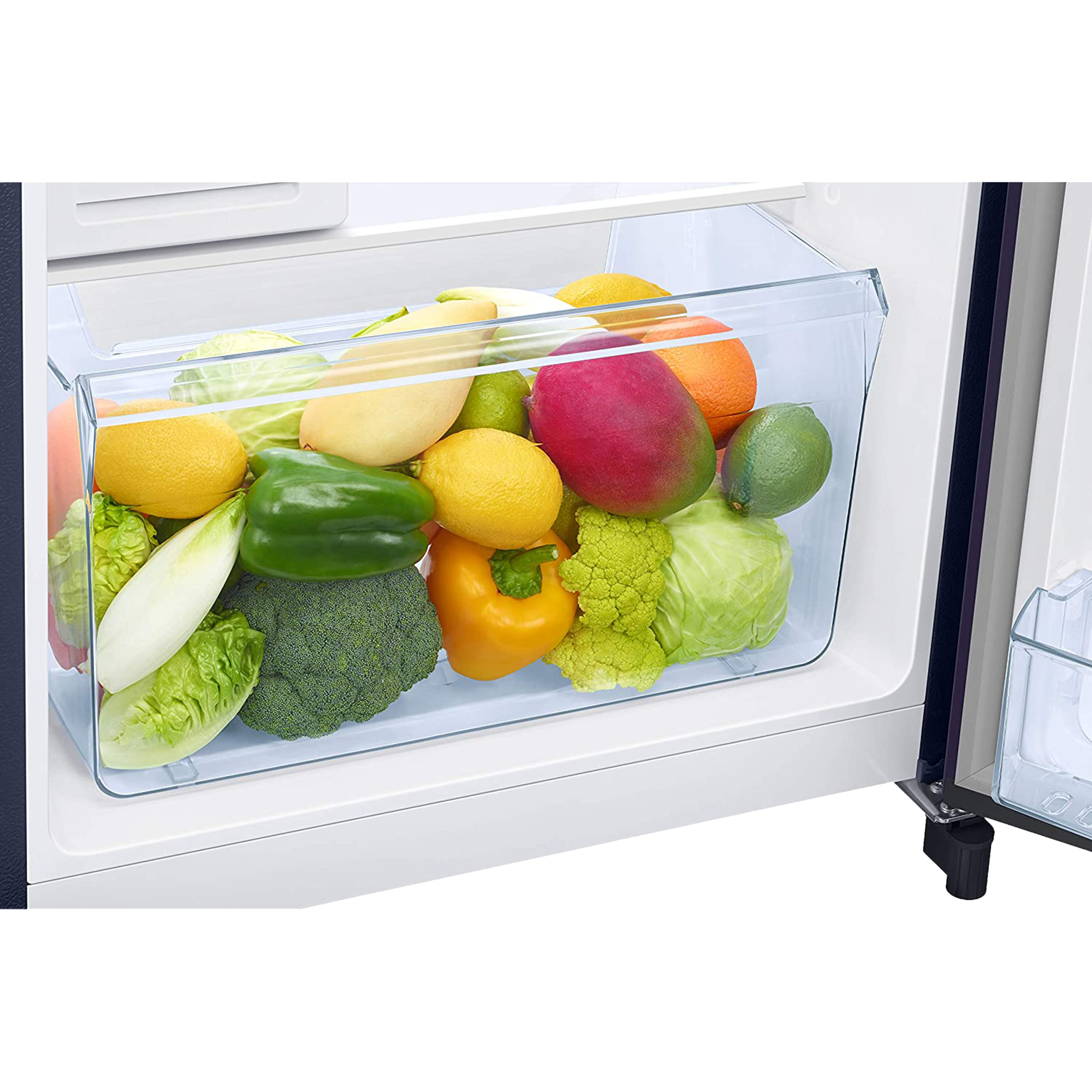 SAMSUNG 192 Liters 4 Star Direct Cool Single Door Refrigerator with Curd Maestro (RR21A2M2XUZ/HL, Midnight Blossom Blue) SAMSUNG 192 Liters 4 Star Direct Cool Single Door Refrigerator with Curd Maestro (RR21A2M2XUZ/HL, Midnight Blossom Blue)_20