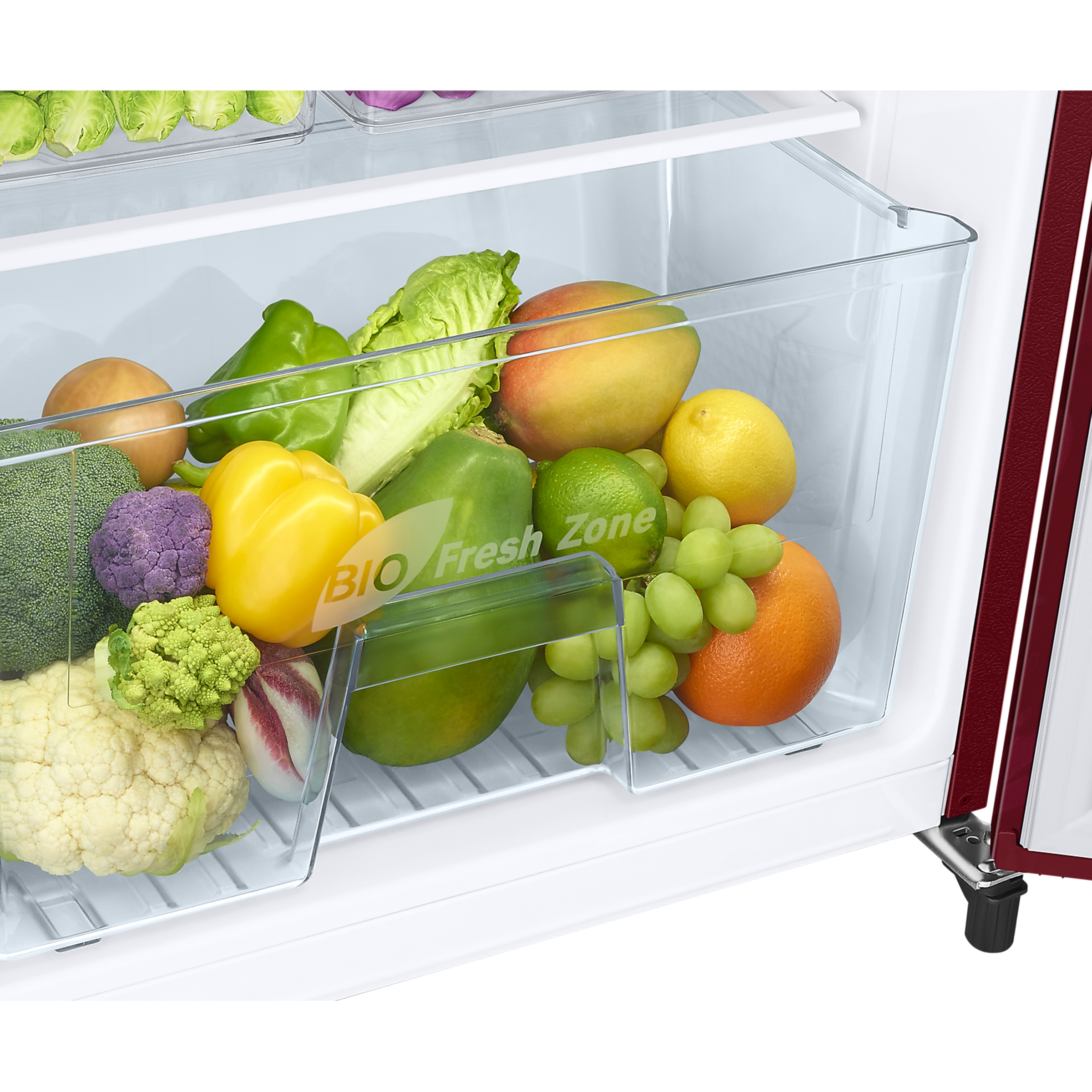 SAMSUNG 192 Liters 2 Star Direct Cool Single Door Refrigerator with Anti-Bacteria Gasket (RR19A2Y2B6R/NL, Mystic Overlay Red)_11