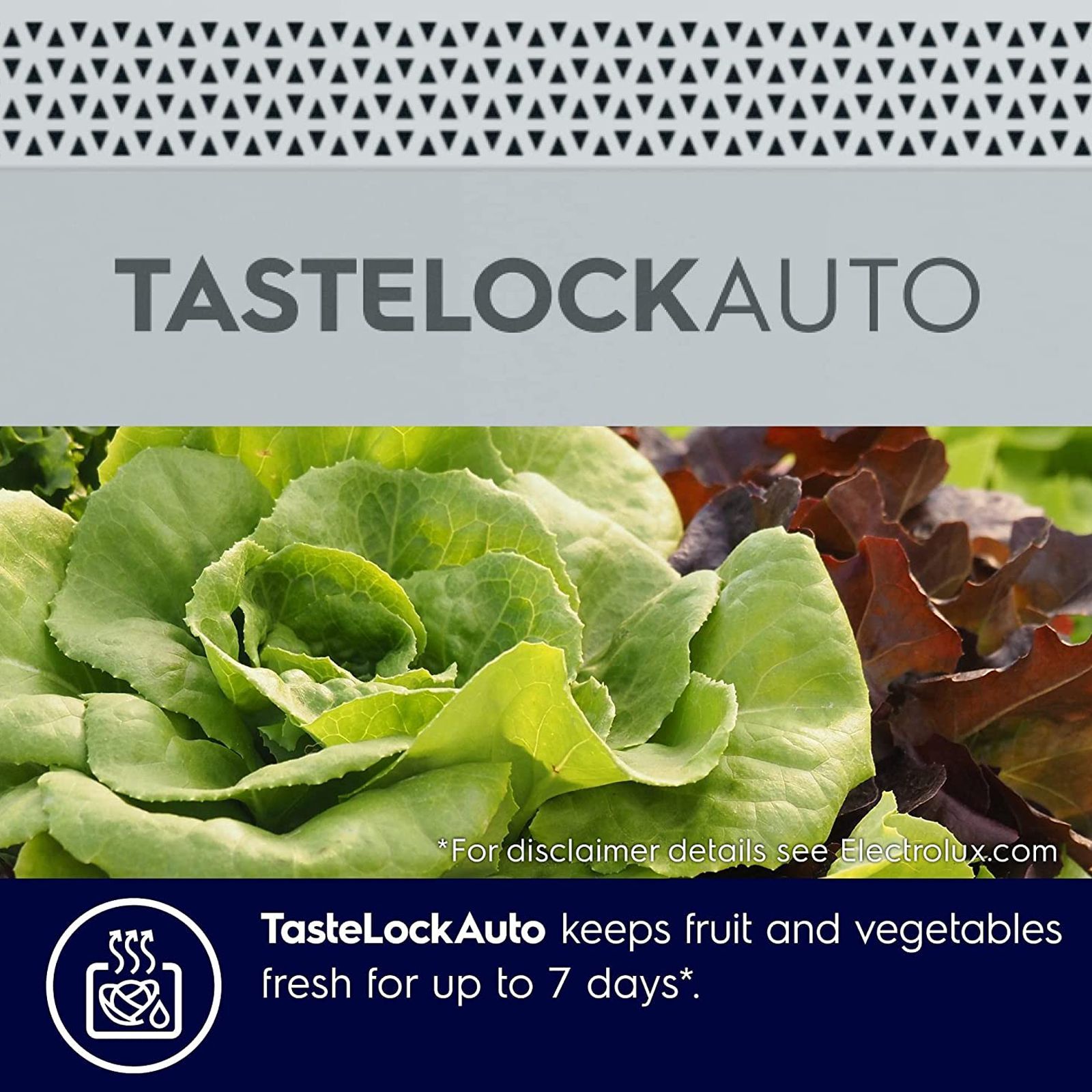 Electrolux UltimateTaste 700 524 Litres Frost Free French Door Refrigerator with NutriFresher Inverter Compressor (EHE5224C-A NIN, Arctic Silver)_9