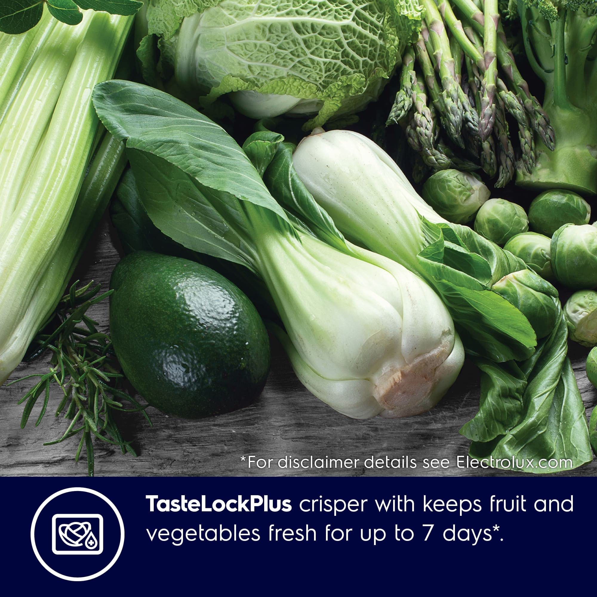 Electrolux UltimateTaste 700 461 Litres French Door Refrigerator with Twist and Serve Ice Maker (EQE6000A-B, Matte Dark Grey)_14