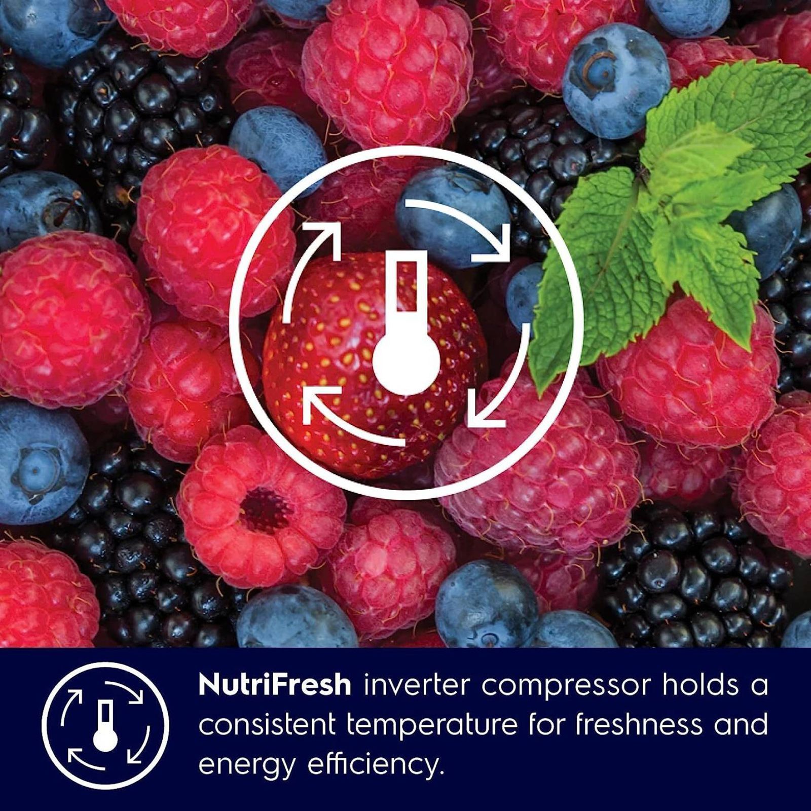 Electrolux UltimateTaste 700 545 Litres Frost Free Side by Side Refrigerator with NutriFresh Inverter Compressor (ESE5401-BIN. Matte Black Steel)_13