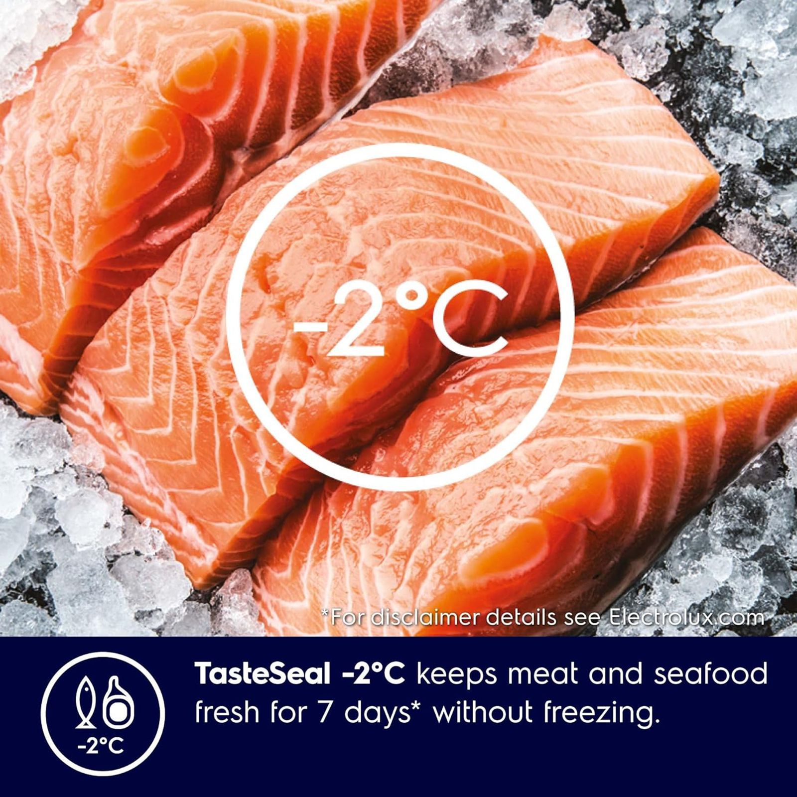 Electrolux UltimateTaste 300 341 Litres 2 Star Frost Free Double Door Refrigerator with Door Alarm (ETB3700K-H, Glossy Black Steel)_12