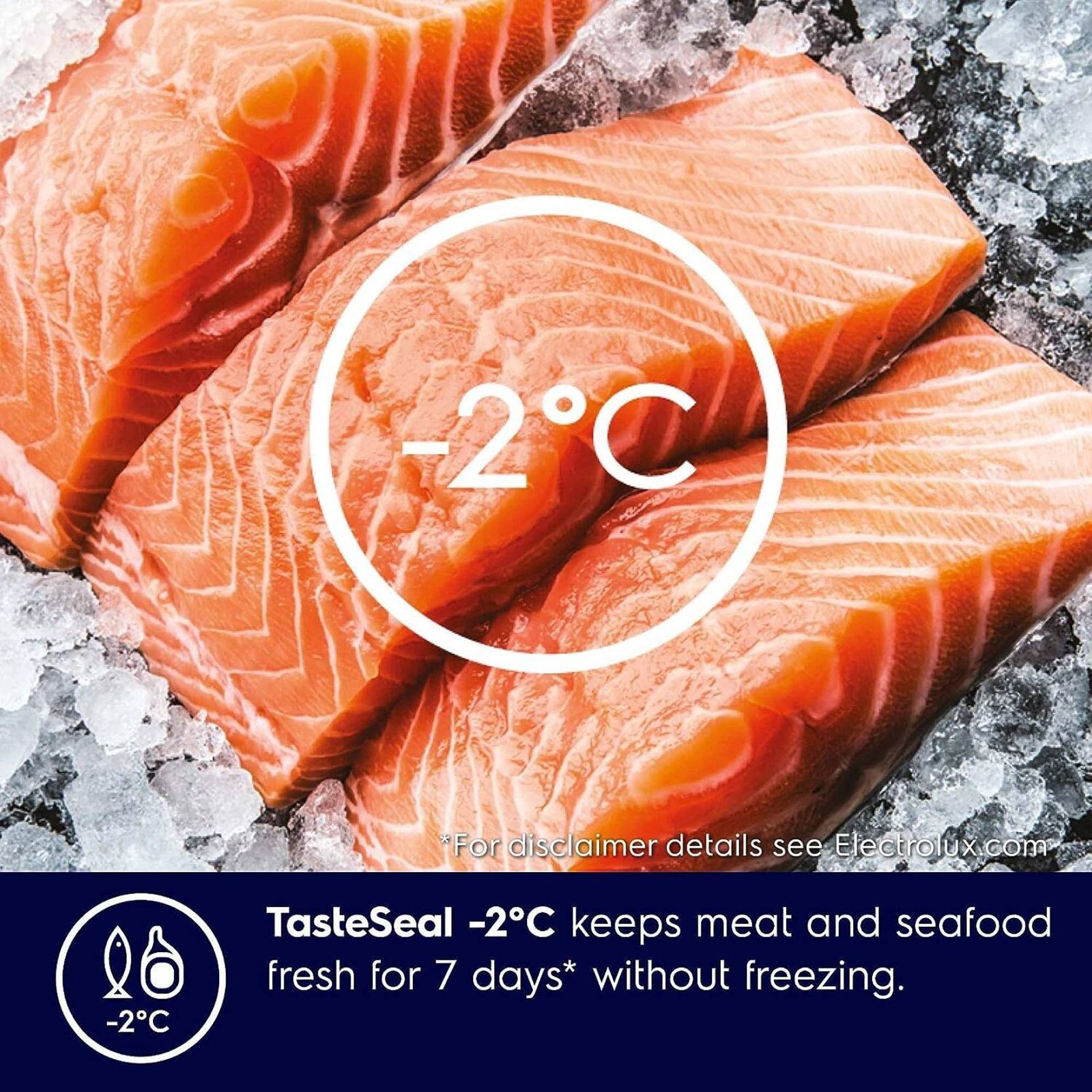 Electrolux UltimateTaste 300 335 Litres 1 Star Frost Free Double Door Bottom Mount Refrigerator with Door Alarm (EBB3702K-H, Glossy Black Steel) Electrolux UltimateTaste 300 335 Litres 1 Star Frost Free Double Door Bottom Mount Refrigerator with Door Alarm (EBB3702K-H, Glossy Black Steel)_12