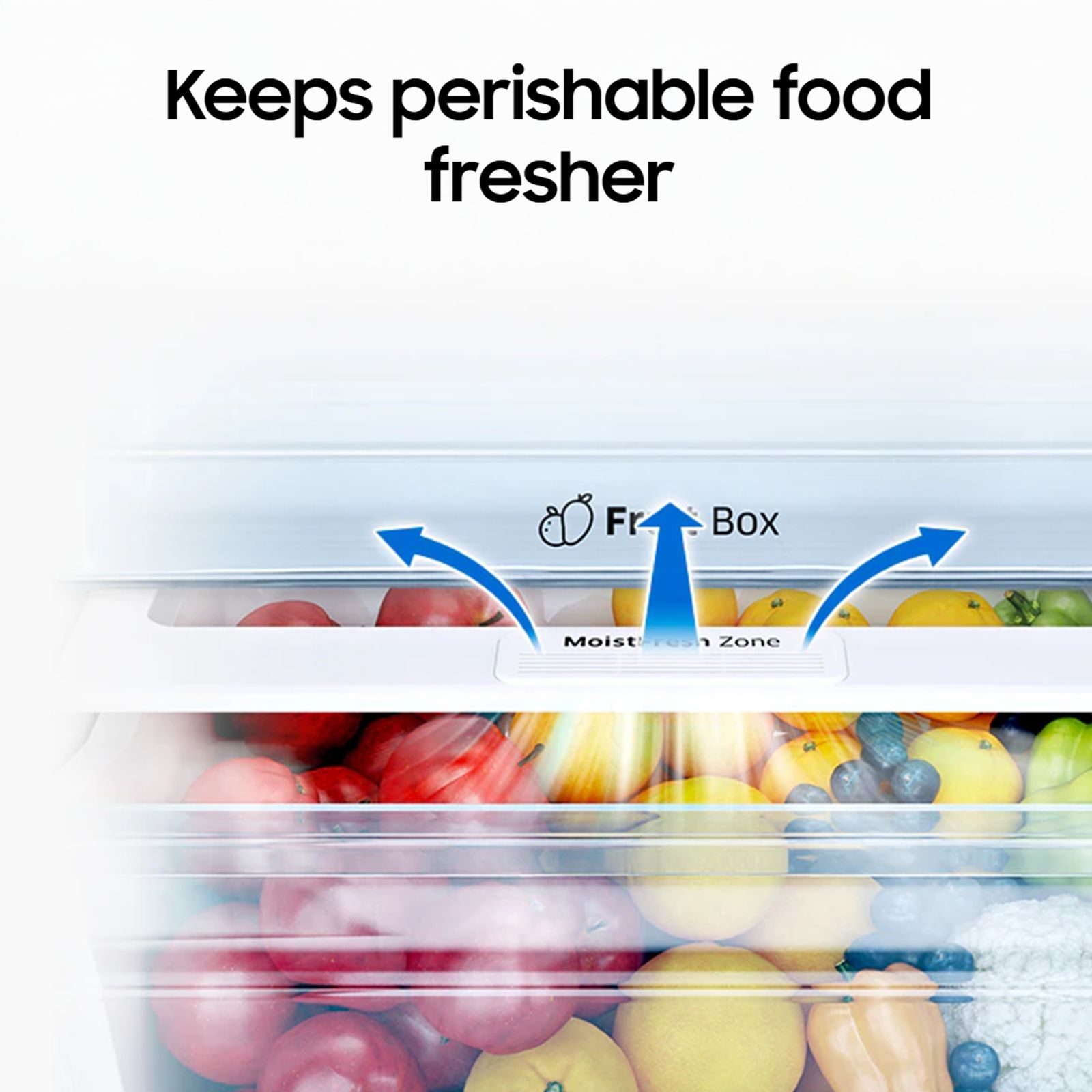 SAMSUNG 236 Litres 2 Star Frost Free Double Door Refrigerator with Deodorizer (RT28C3042S8/HL, Elegant Inox)_15