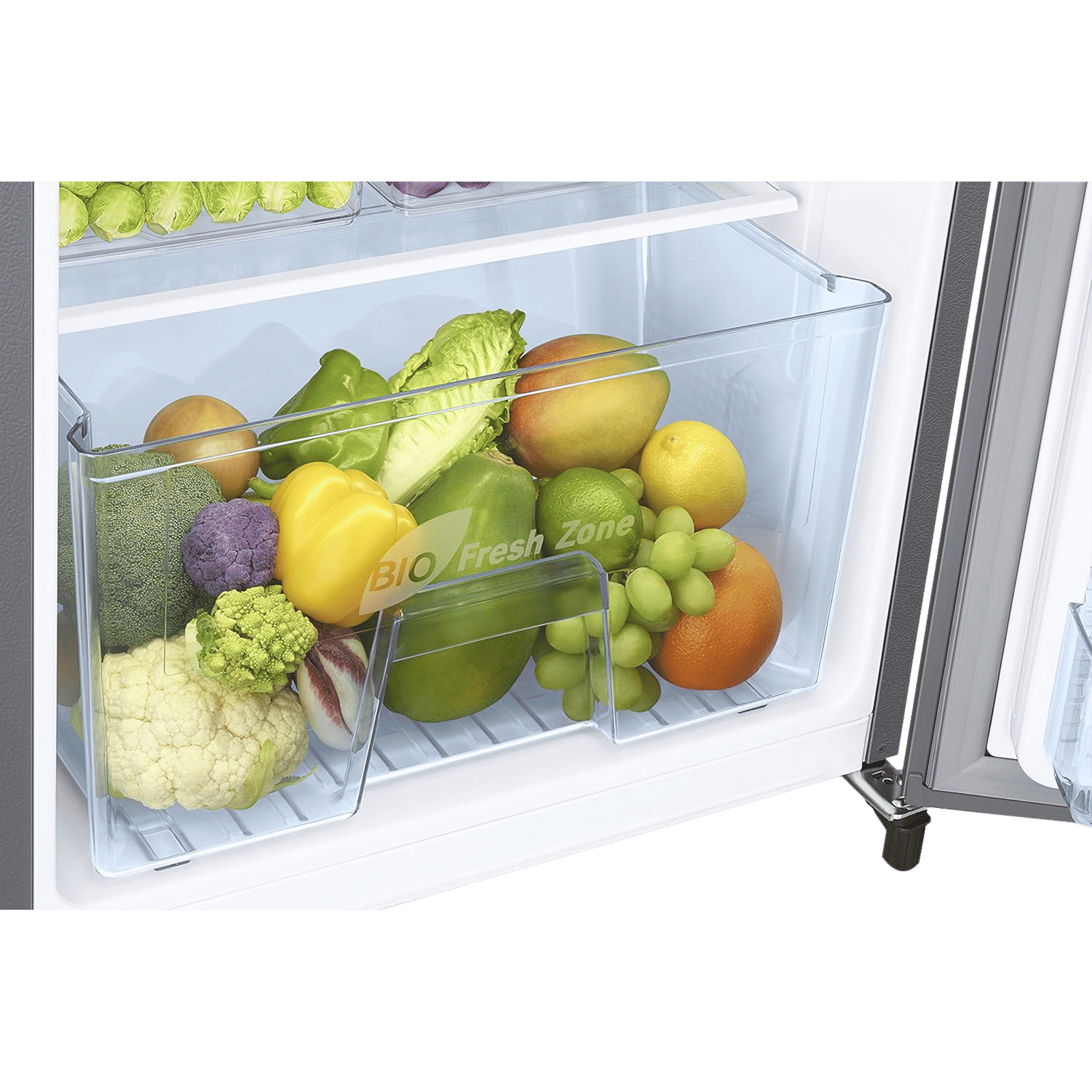 SAMSUNG Stylish Grande 183 Litres3 Star Direct Cool Single Door Refrigerator with Anti Bacterial Gasket (RR20C2Y23S8/HL, Elegant Inox)_10