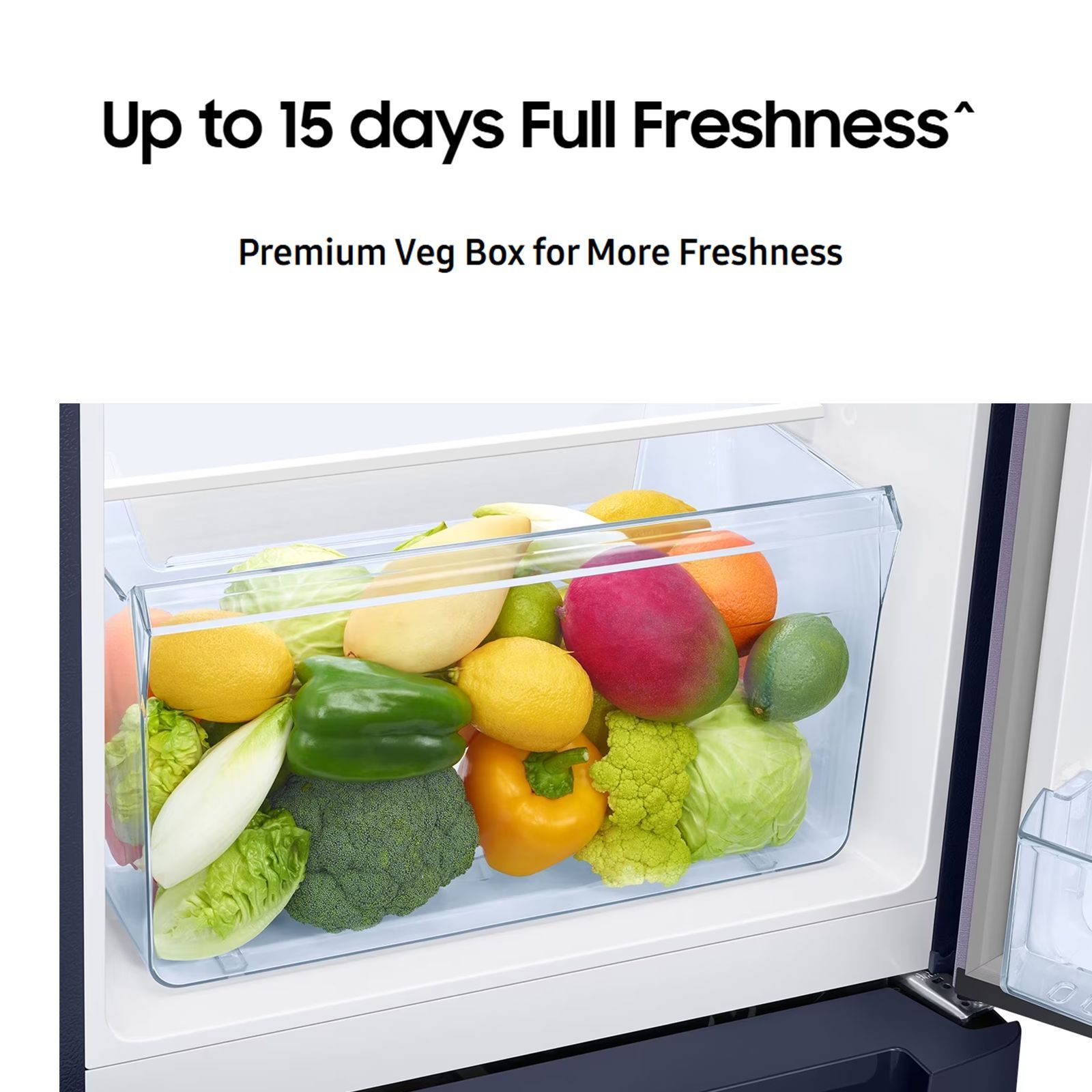 SAMSUNG Horizontal Curve 189 Litres 5 Star Direct Cool Single Door Refrigerator with Anti Bacterial Gasket (RR21C2H25DX/HL, Luxe Brown)_20