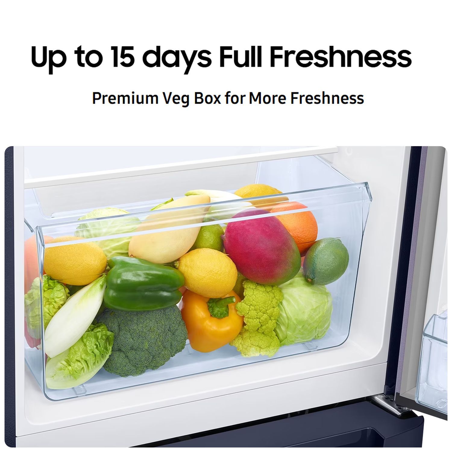 SAMSUNG Stylish Grande 223 Litres3 Star Direct Cool Single Door Refrigerator with Base Stand Drawer (RR24C2823CU/NL, Camellia Blue)_19