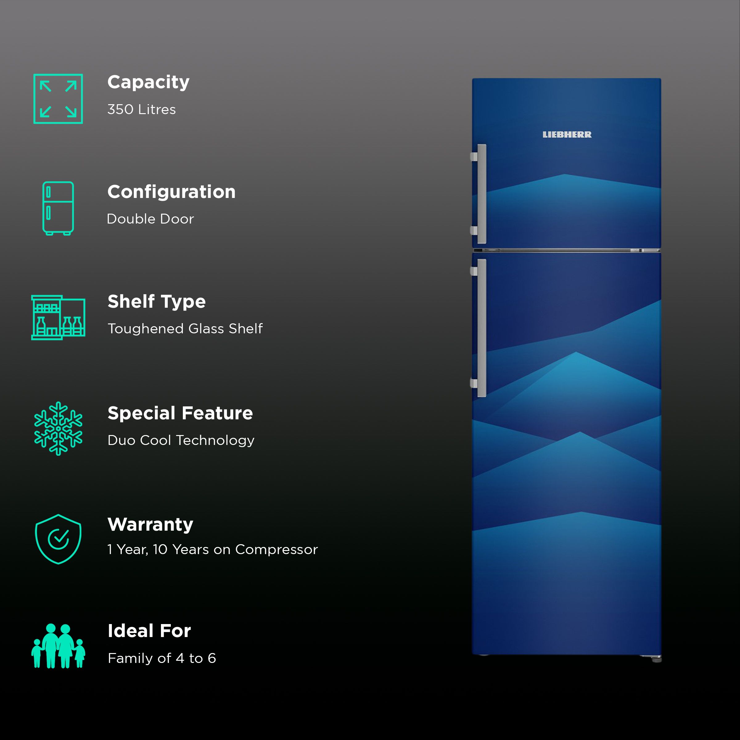 LIEBHERR 350 Litres 2 Star Frost Free Double Door Refrigerator with Duo Cool (TDbl 3540, Blue Landscape)_2