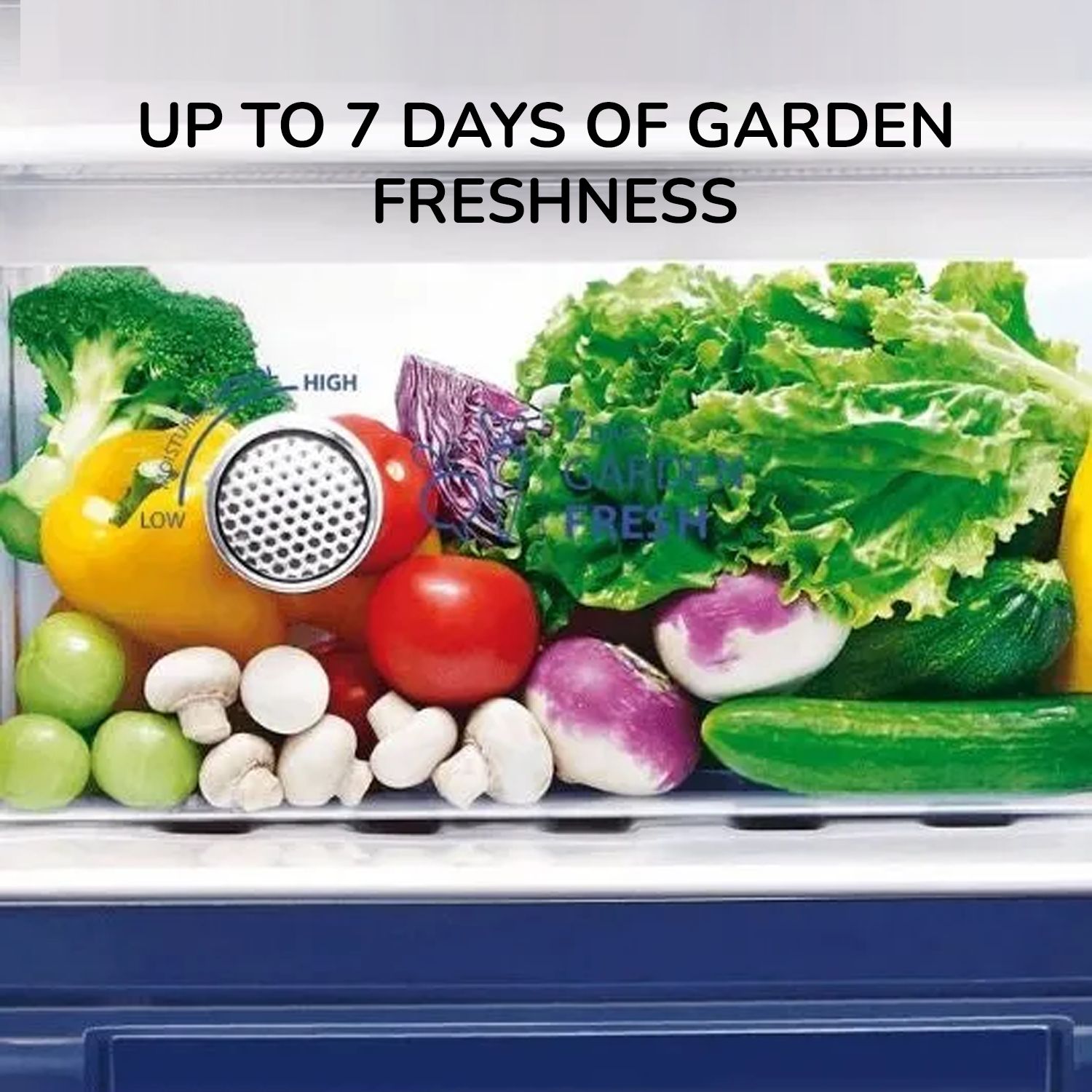 Whirlpool IMPRO 192 Litres 3 Star Direct Cool Single Door Refrigerator with Stabilizer Free Operation (215 IMPRO ROY, Purple)_16