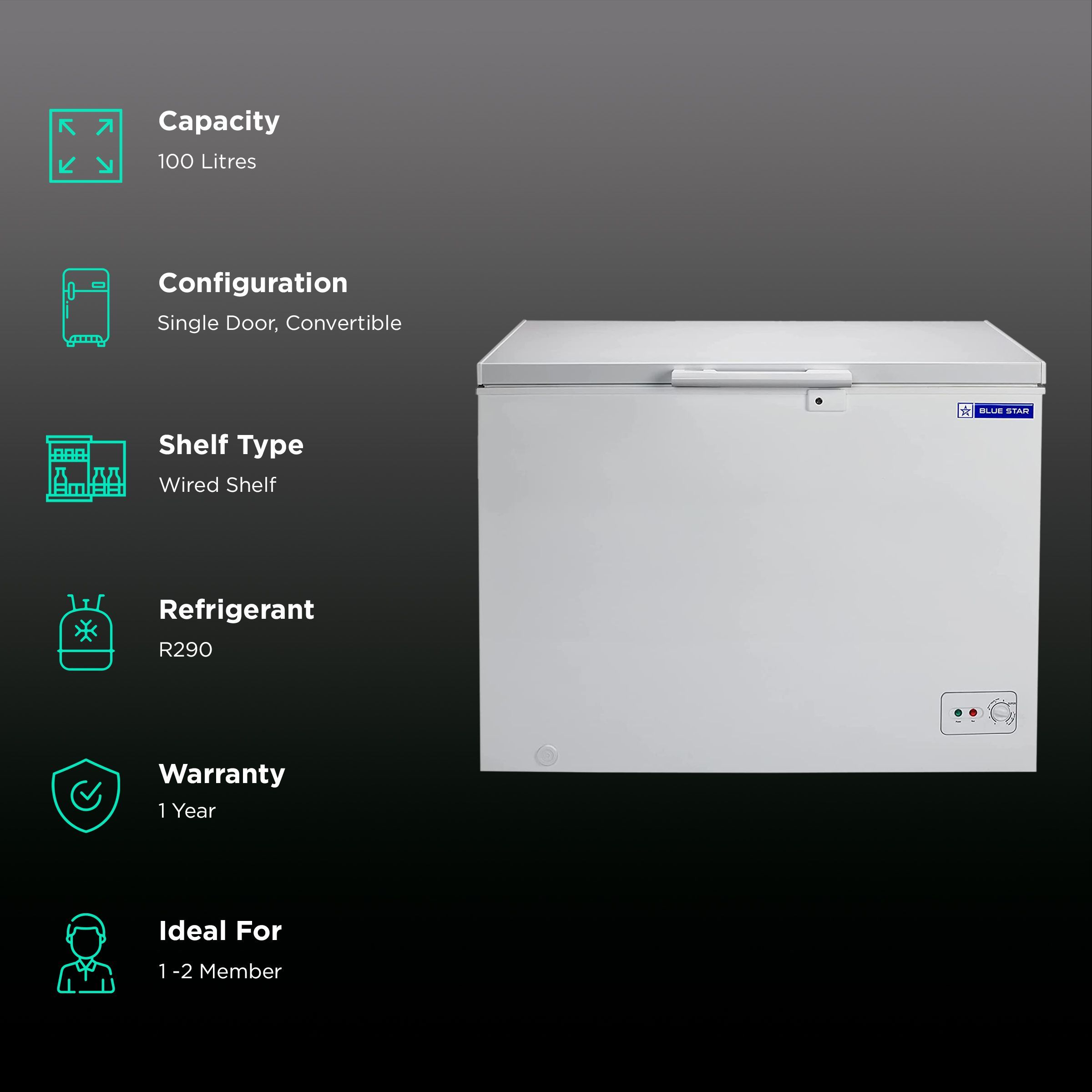 Blue Star 100 Litres Single Door Deep Freezer (Power Indicator, CHFSD100FHSW, White)_2