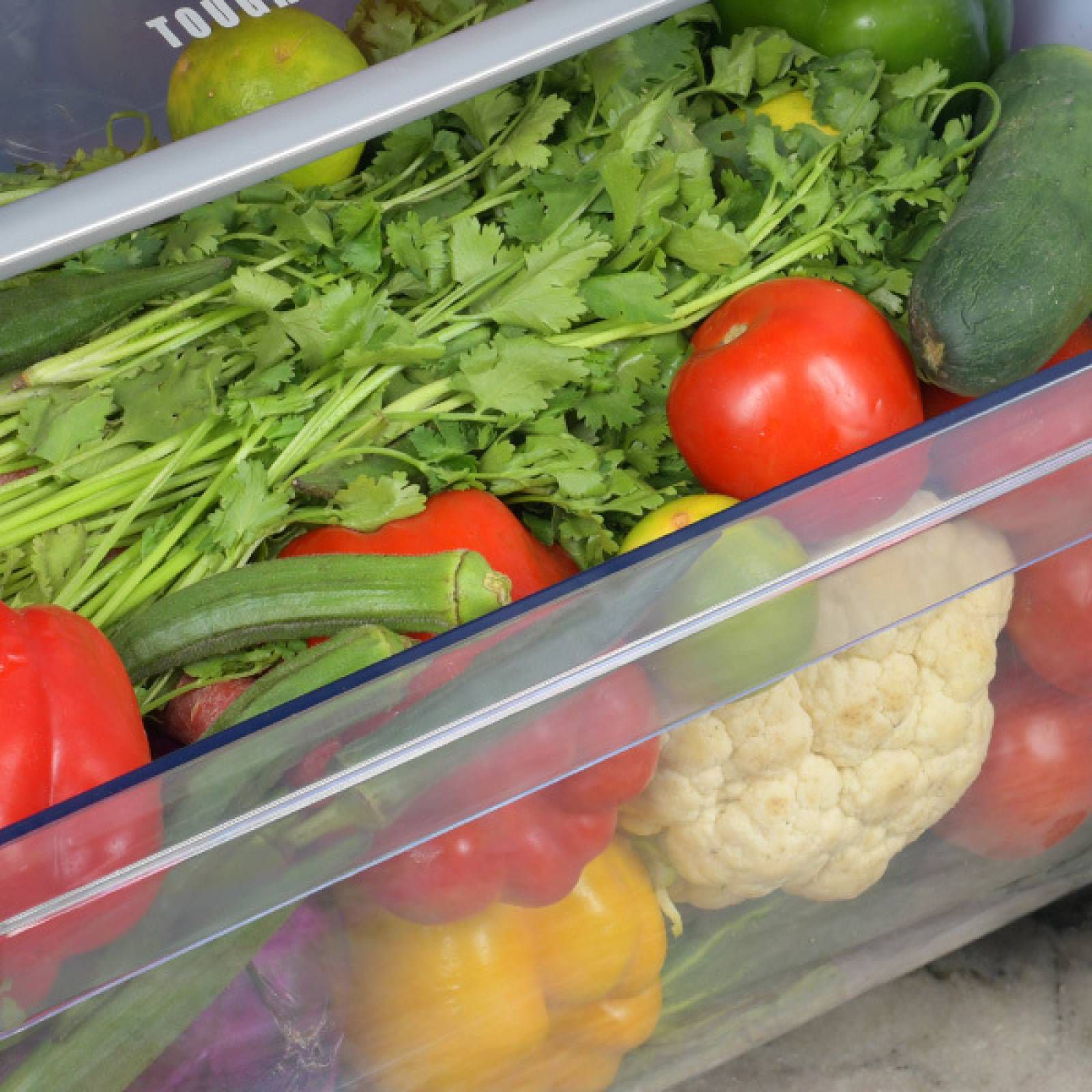 Haier 190 Litres 4 Star Direct Cool Single Door Refrigerator with Antibacterial Gasket (HED-204DS-P, Dazzle Steel)_9