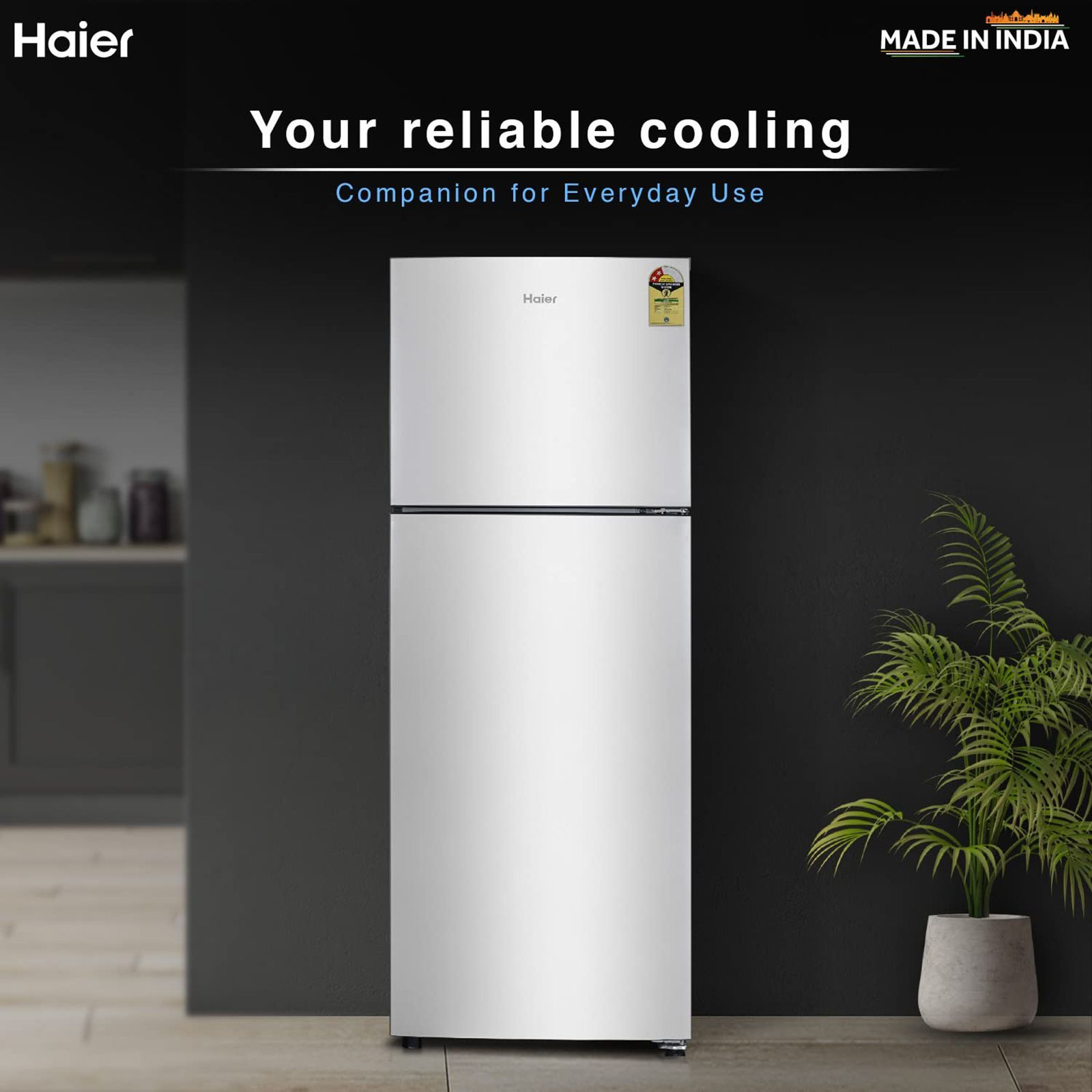Haier 240 Litres 2 Star Frost Free Double Door Refrigerator with Anti-bacterial Gasket (HEF-252EGS-P, Moon Silver)_19