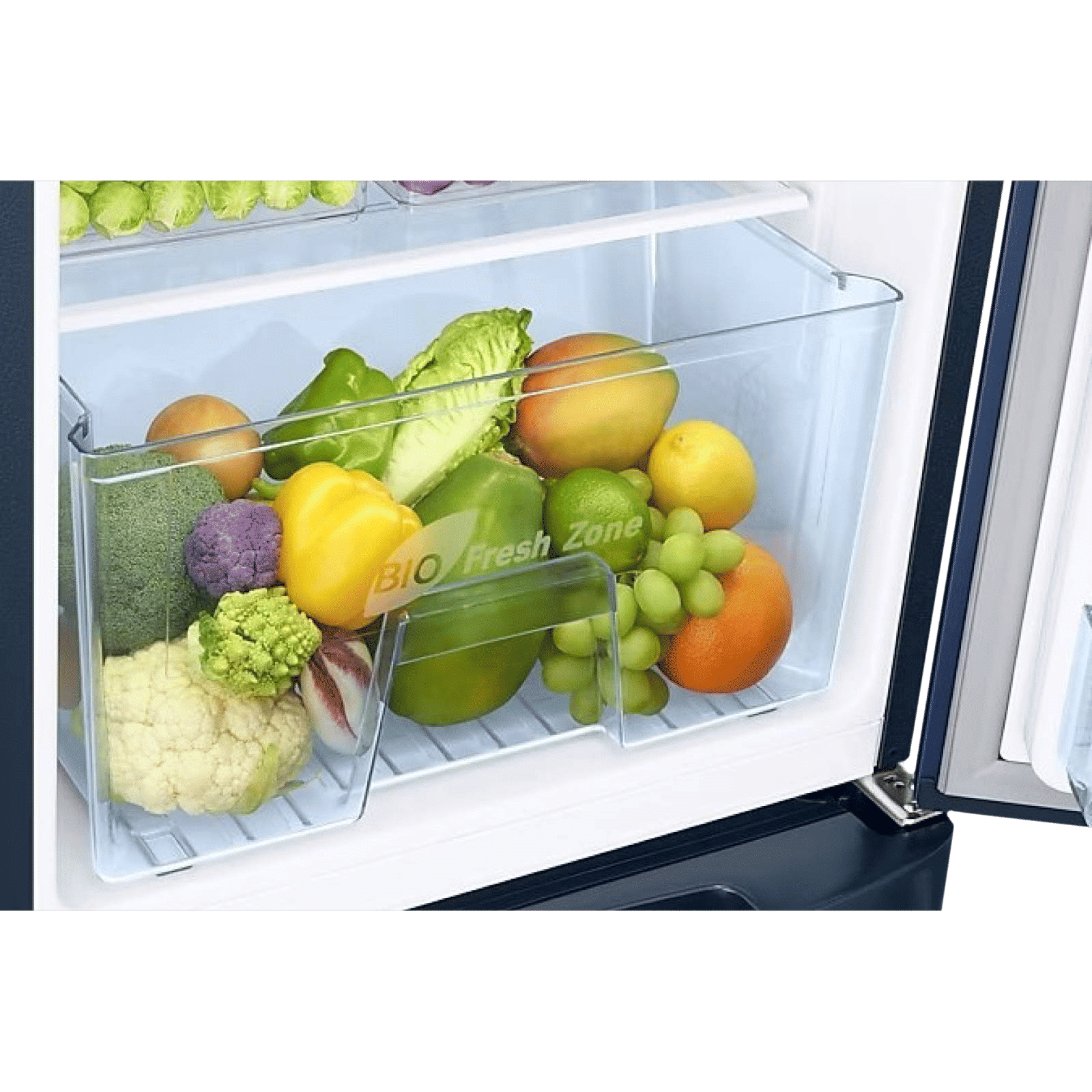 SAMSUNG 183 Litres 3 Star Direct Cool Single Door Refrigerator with Stabilizer Free Operation (RR20C2823CU/NL, Camellia Blue)_7