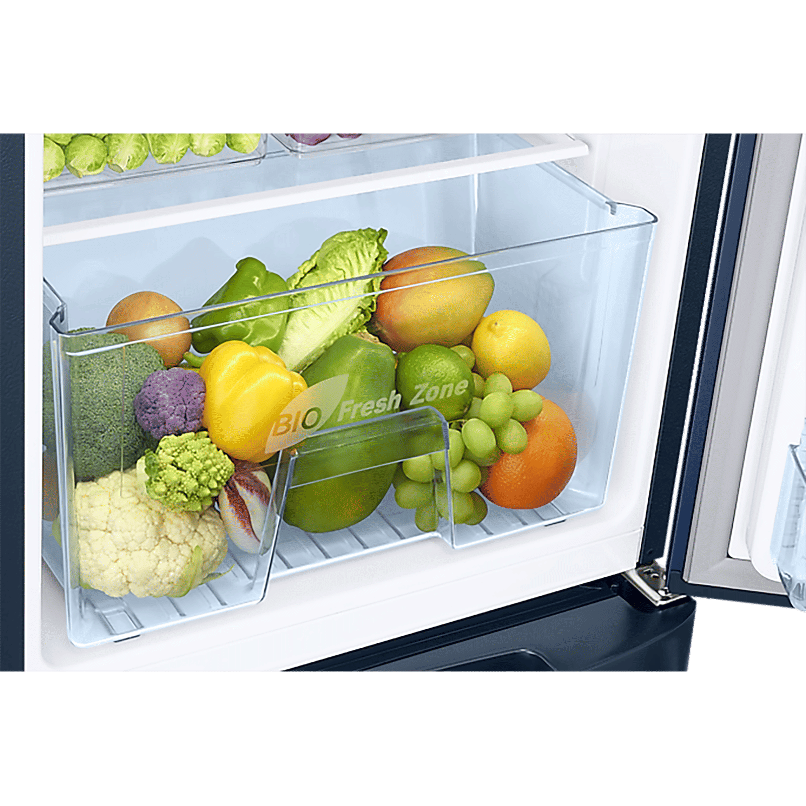 SAMSUNG 183 Litres 3 Star Direct Cool Single Door Refrigerator with Stabilizer Free Operation (RR20C2823CU/NL, Camellia Blue)_11