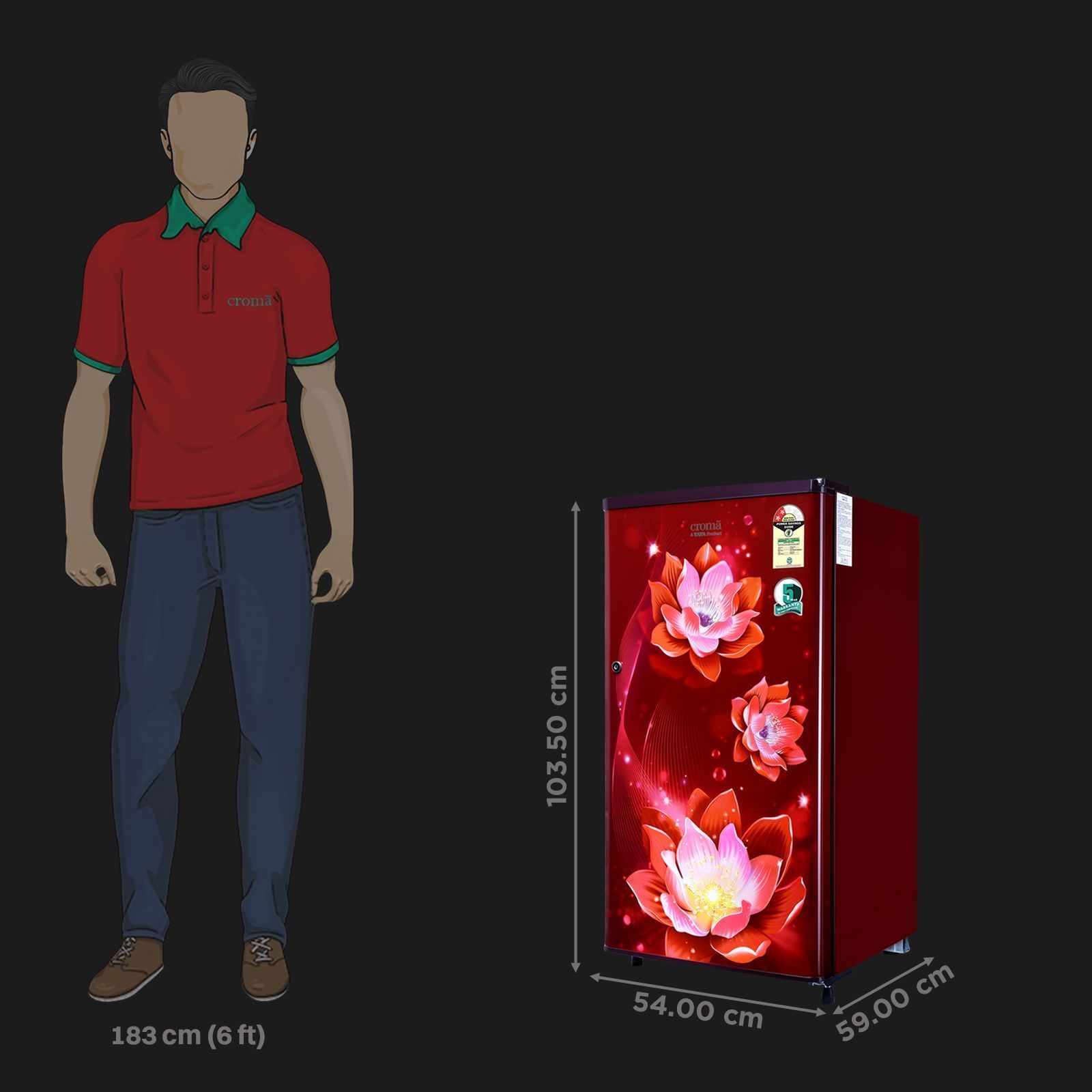 Croma 165 Litres 2 Star Direct Cool Single Door Refrigerator with Anti Fungal Gasket ( PCM Floral)_2