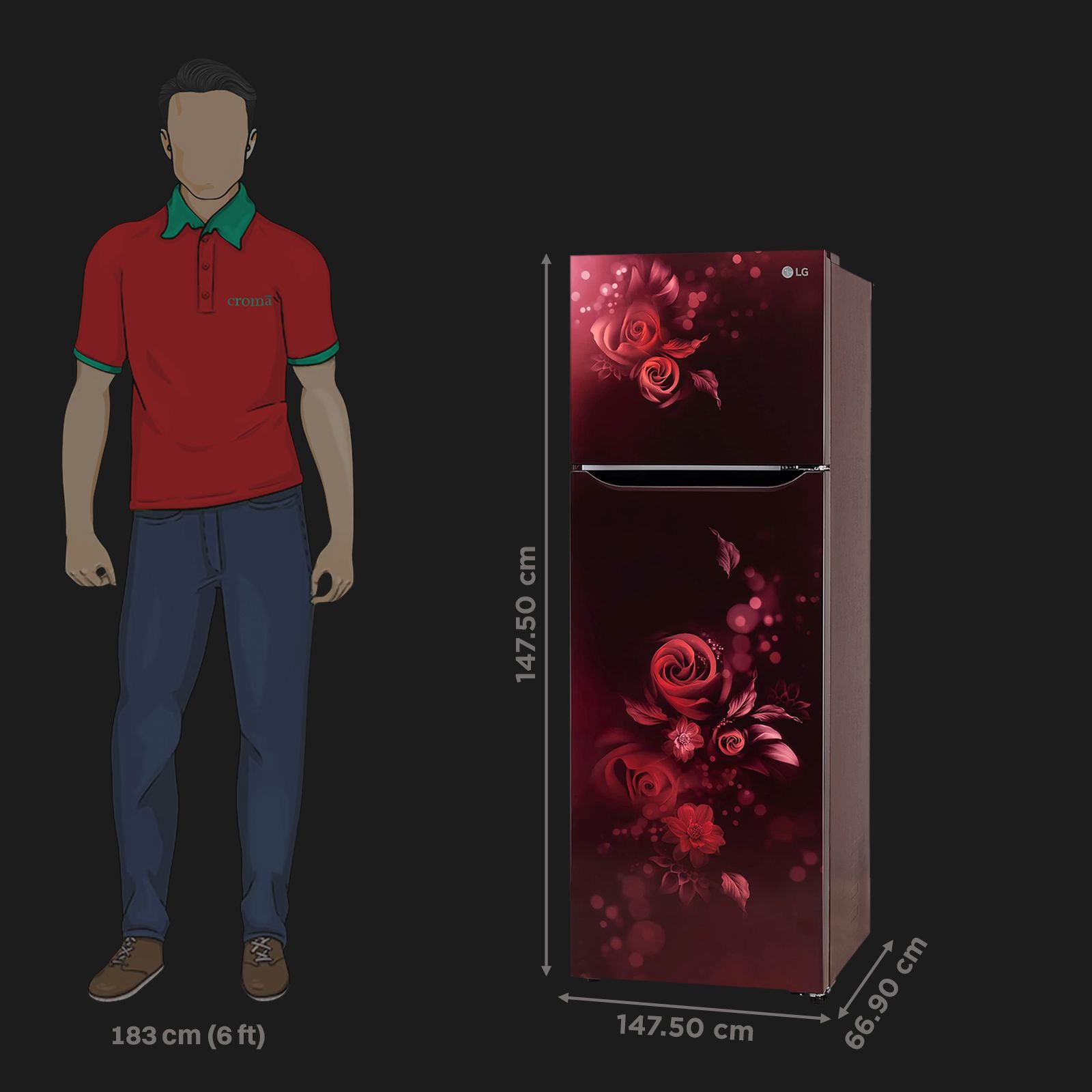 LG 242 Litres 2 Star Frost Free Double Door Refrigerator with Anti Bacterial Gasket (GLN292BSEY, Scarlet Euphoria)_2