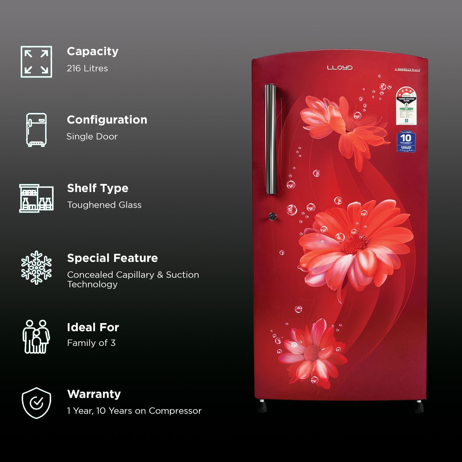 LLOYD 216 Litres 4 Star Direct Cool Single Door Refrigerator with Stabilizer Free Operation (GLDF244SDWT2LC, Daisy Wine)_2