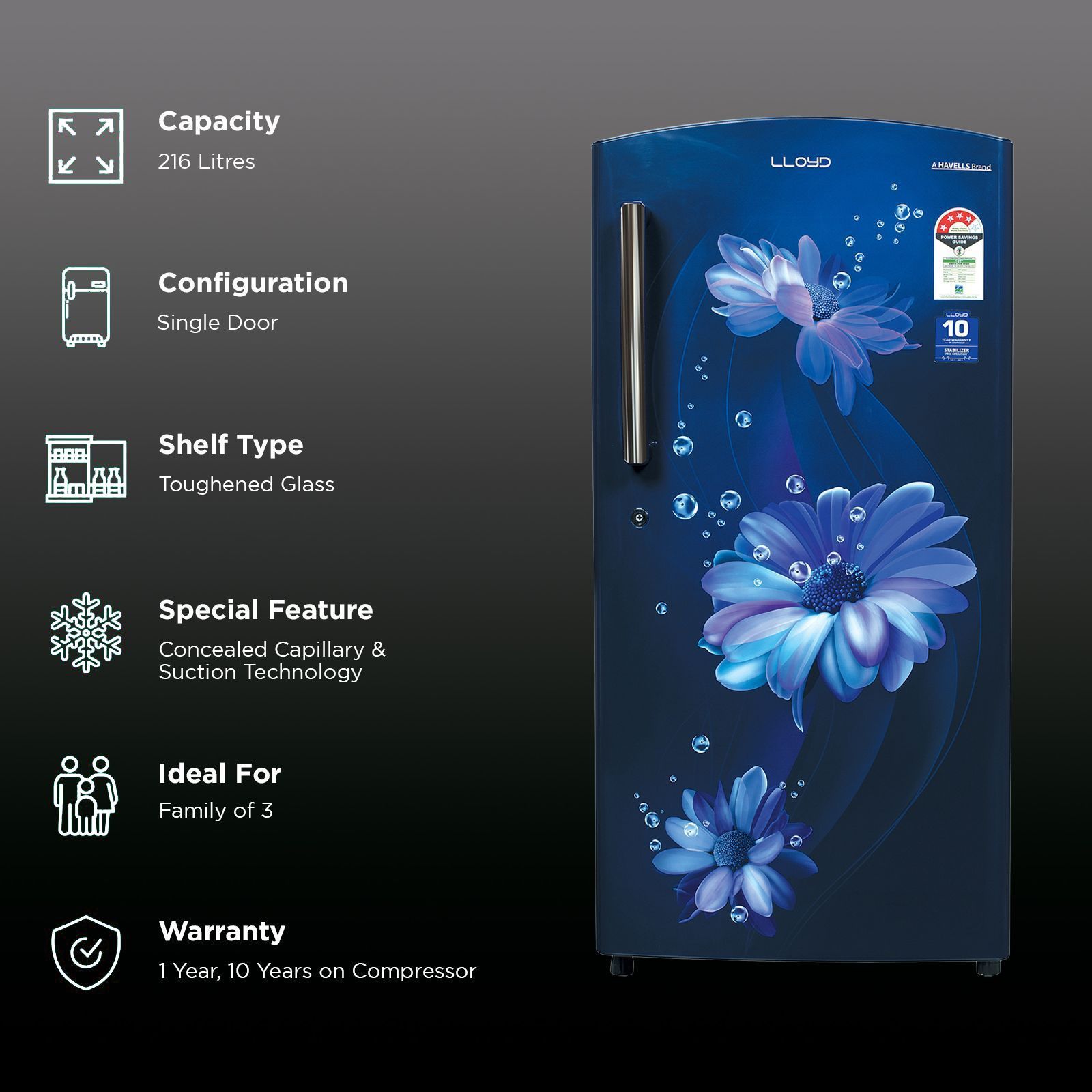 LLOYD 216 Litres 4 Star Direct Cool Single Door Refrigerator with Stabilizer Free Operation (GLDF244ST2LC, Daisy Blue)_2