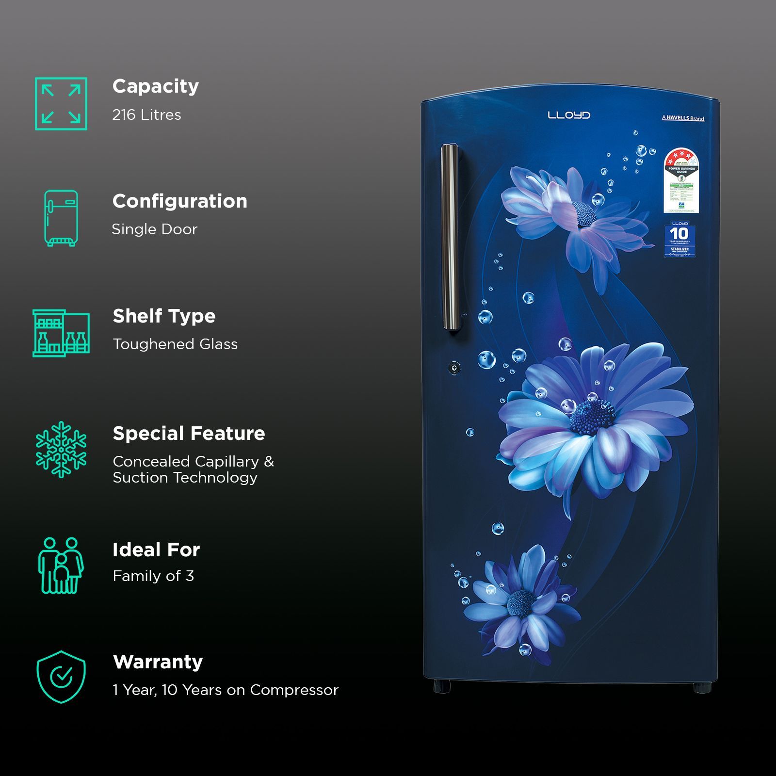 LLOYD 216 Litres 4 Star Direct Cool Single Door Refrigerator with Stabilizer Free Operation (GLDF244ST2LC, Daisy Blue)_2